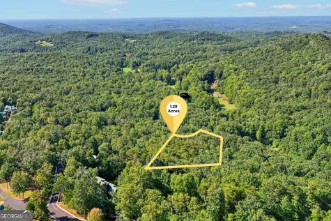 0 Ranch Mountain Court Dahlonega GA 30533