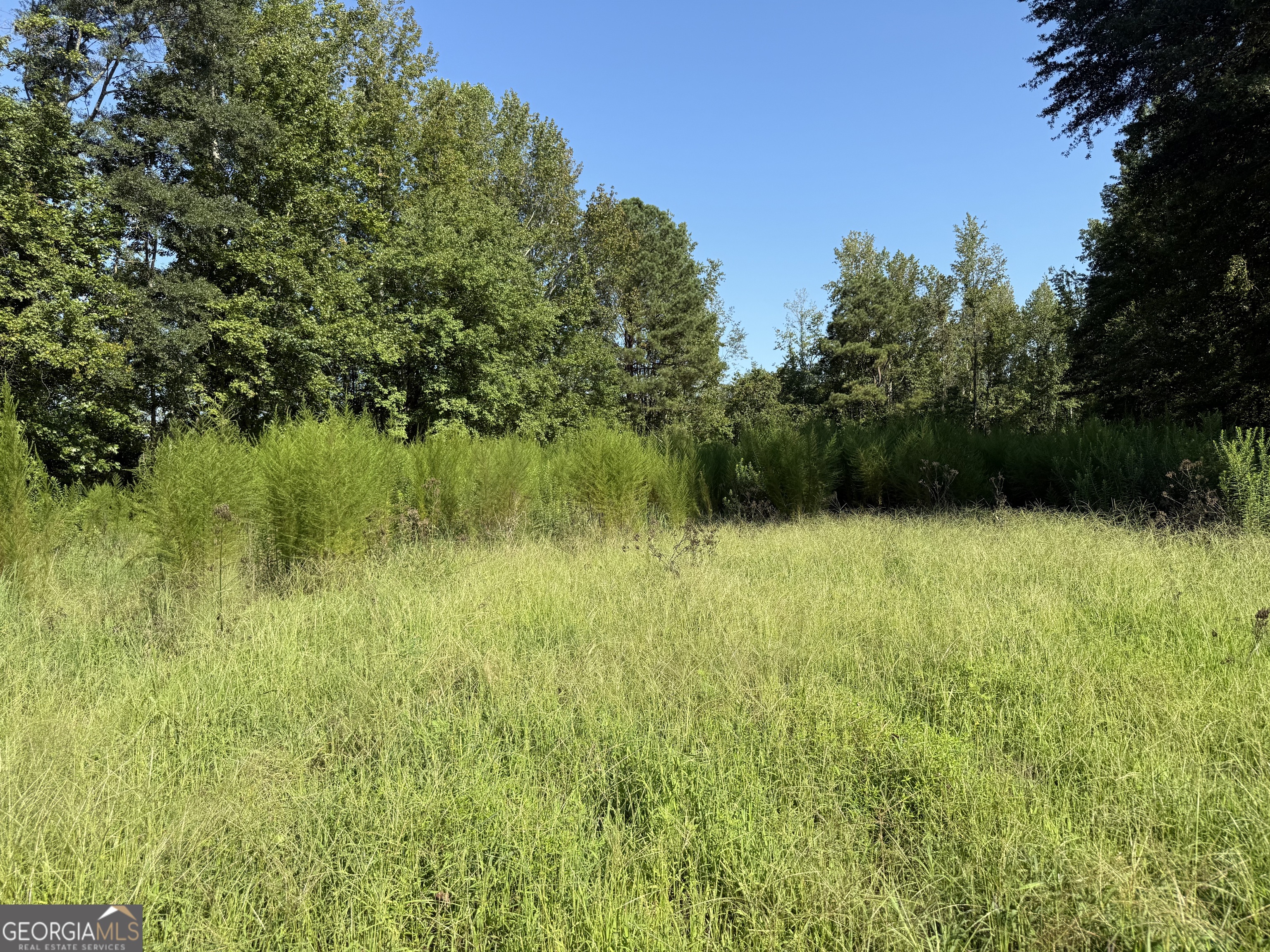 0 N Ga Highway 113 Temple GA 30179
