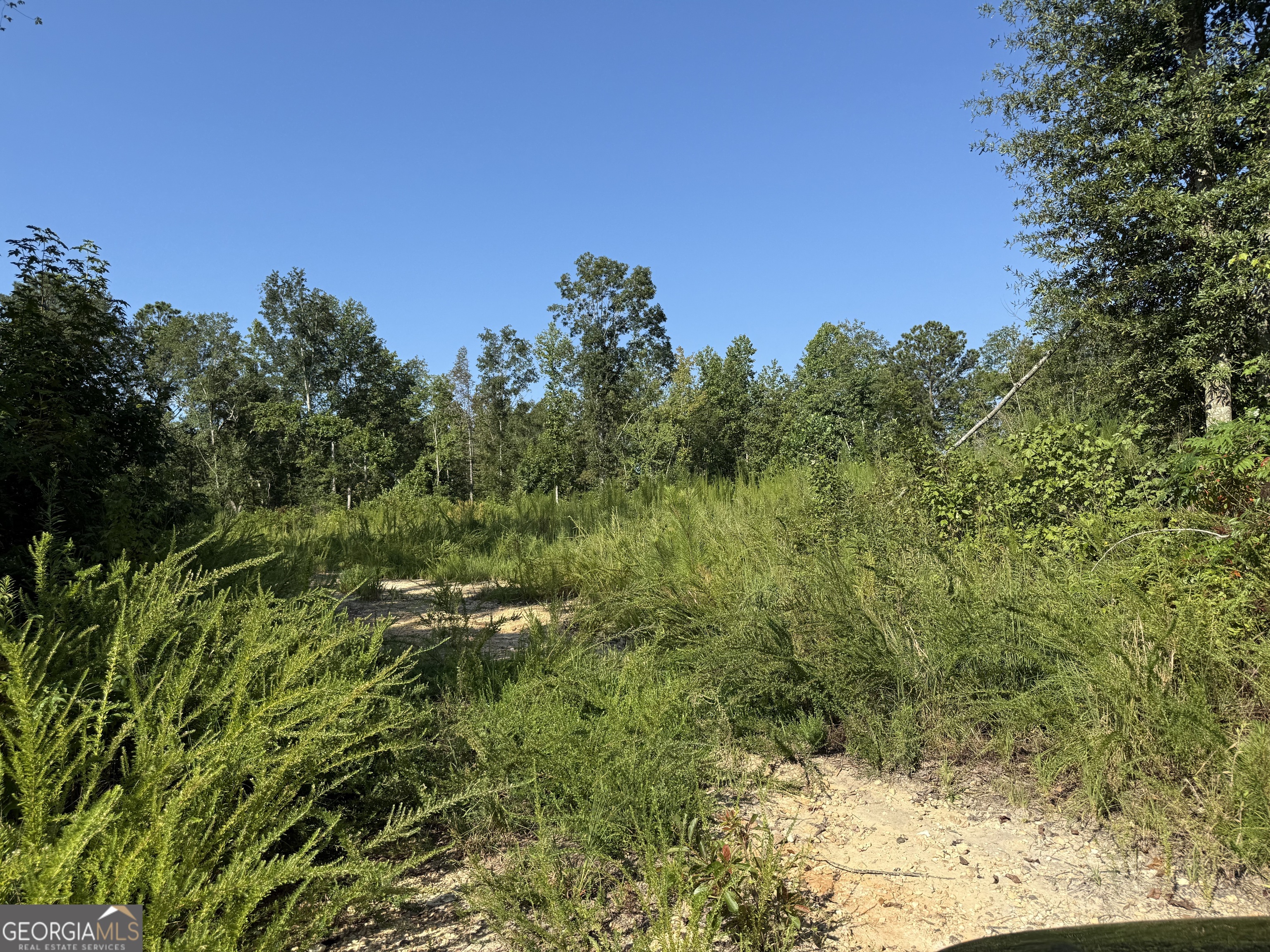 0 N Ga Highway 113 Temple GA 30179