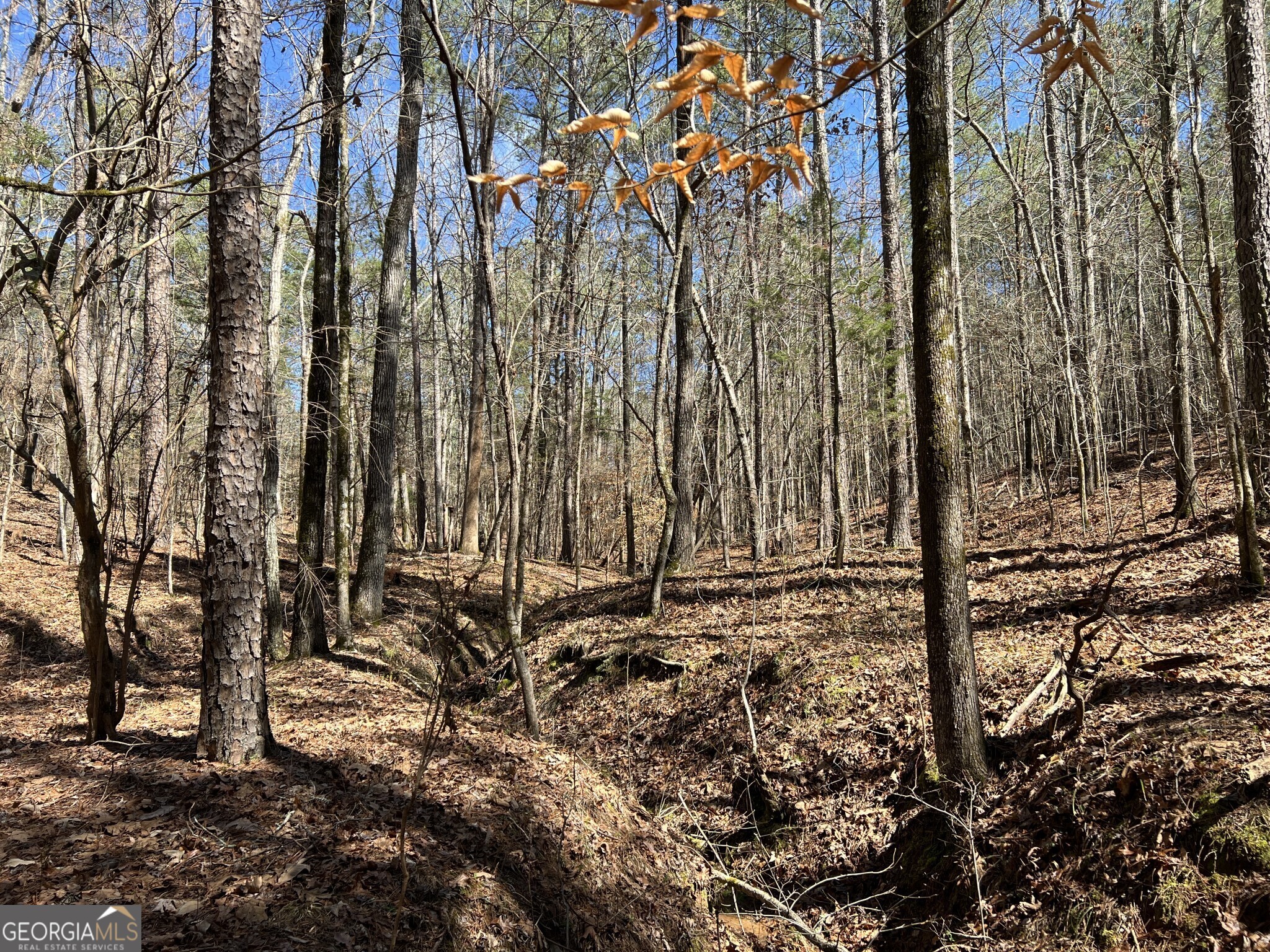 Tract B1 Hulmes Chapel Road Elberton GA 30635