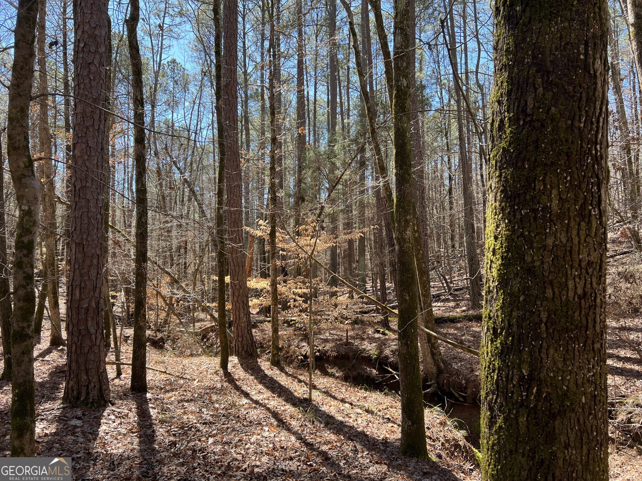 Tract B1 Hulmes Chapel Road Elberton GA 30635