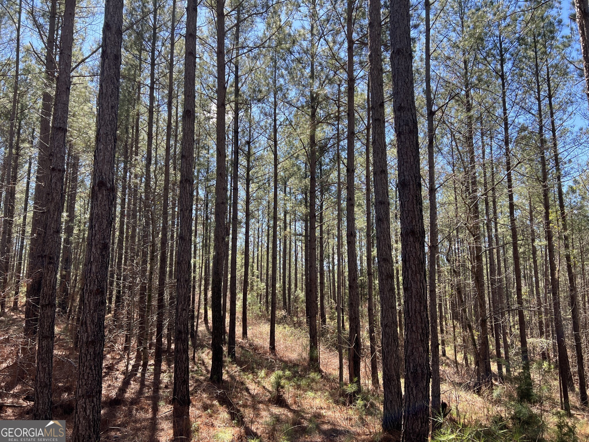 Tract B1 Hulmes Chapel Road Elberton GA 30635