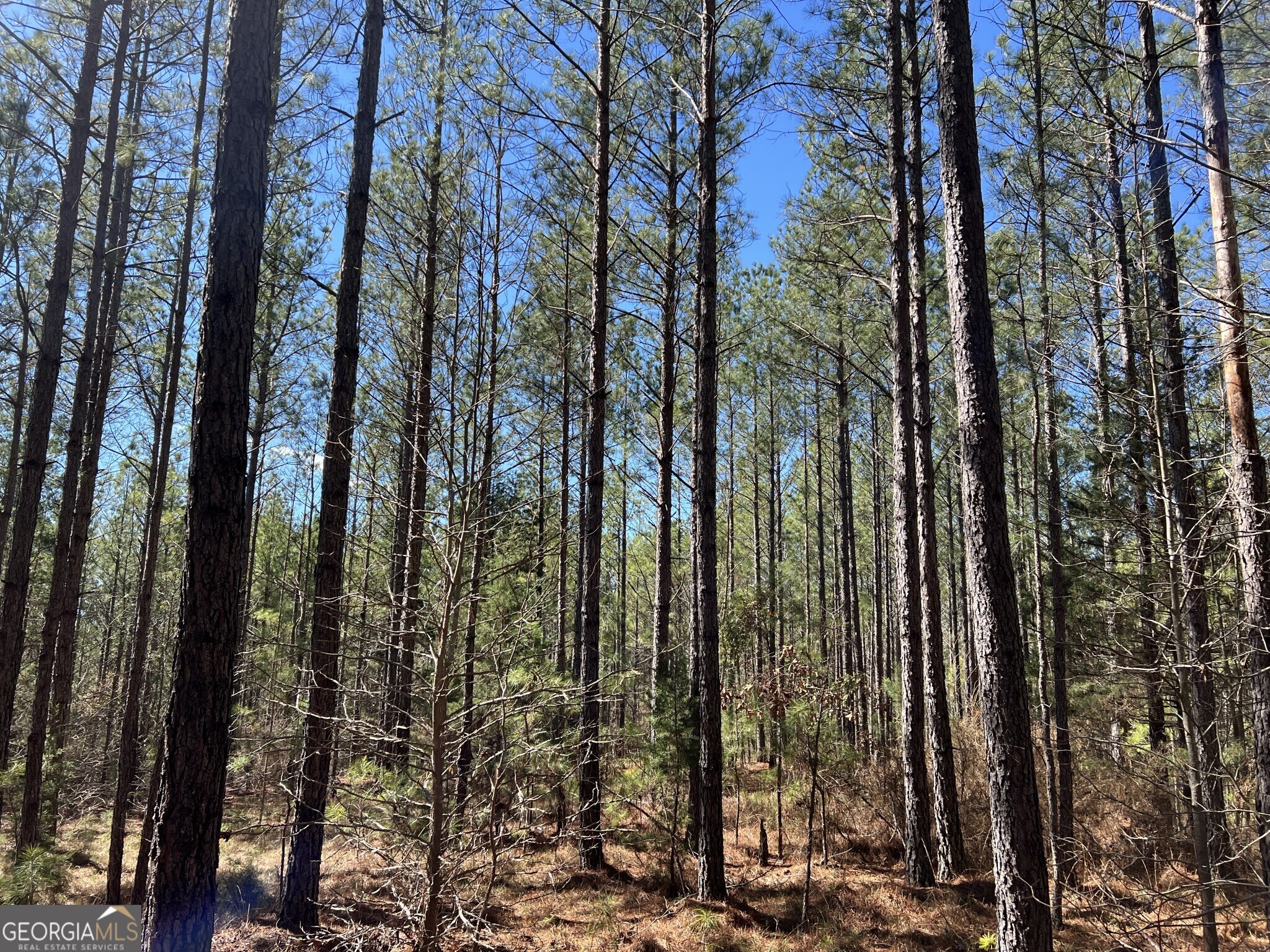 Tract B1 Hulmes Chapel Road Elberton GA 30635