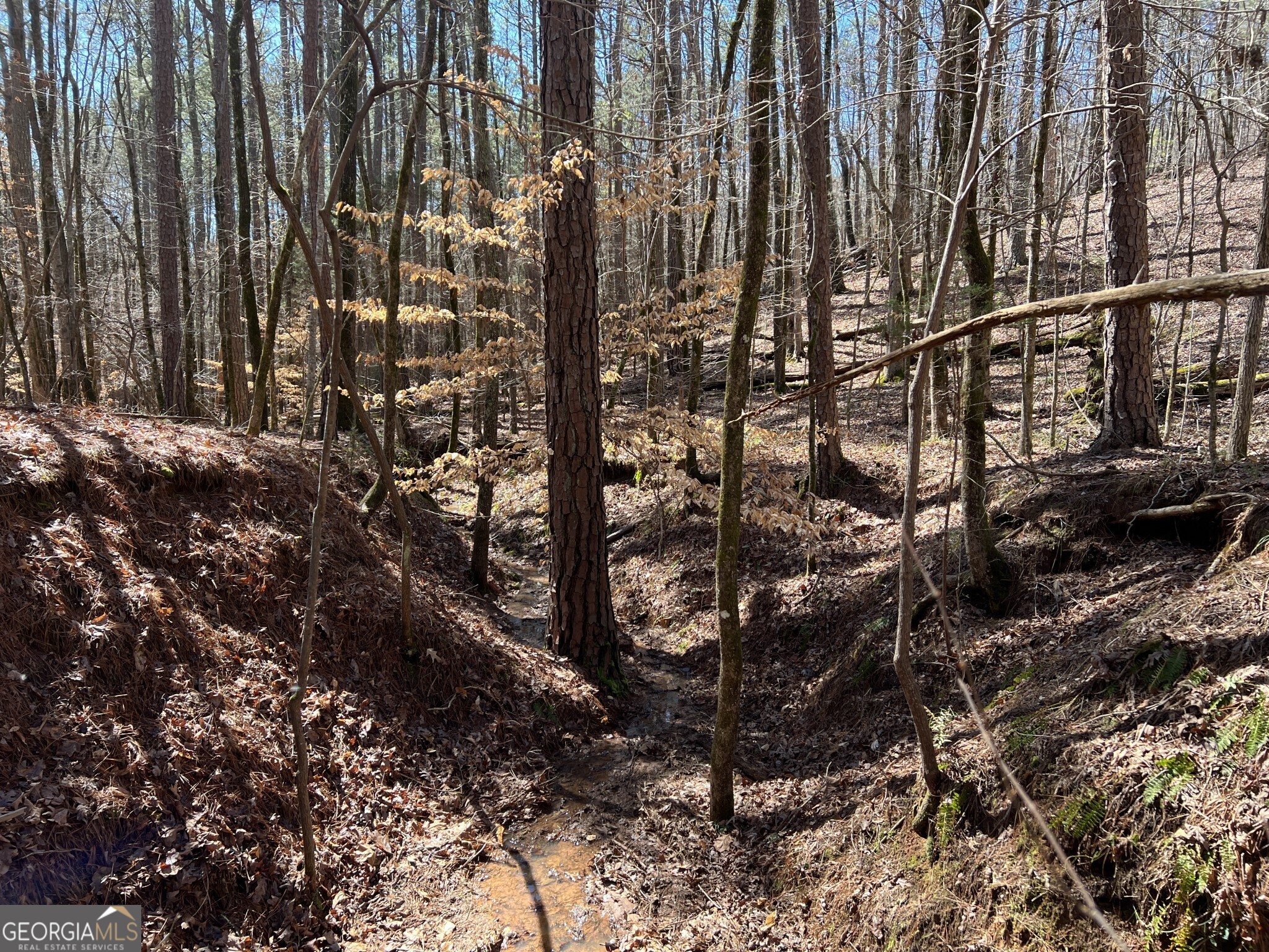 Tract B1 Hulmes Chapel Road Elberton GA 30635