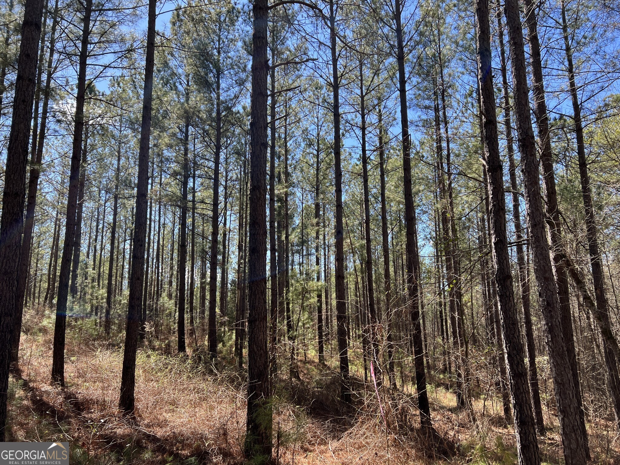Tract B1 Hulmes Chapel Road Elberton GA 30635