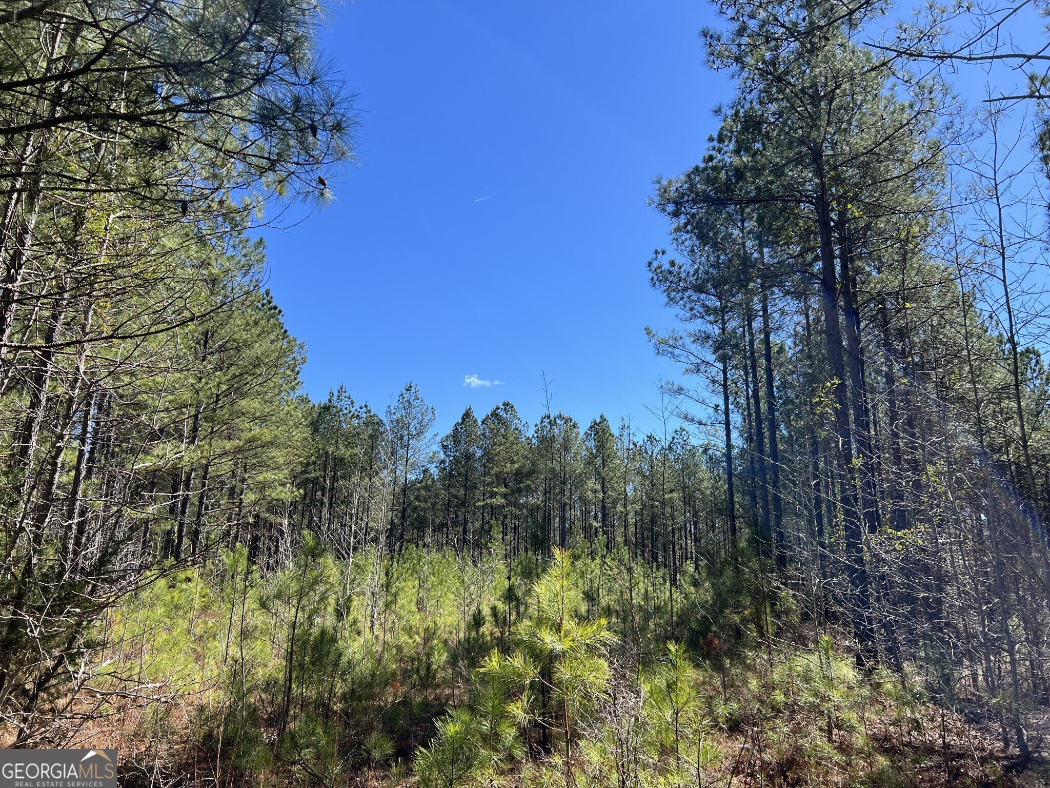 Tract B1 Hulmes Chapel Road Elberton GA 30635