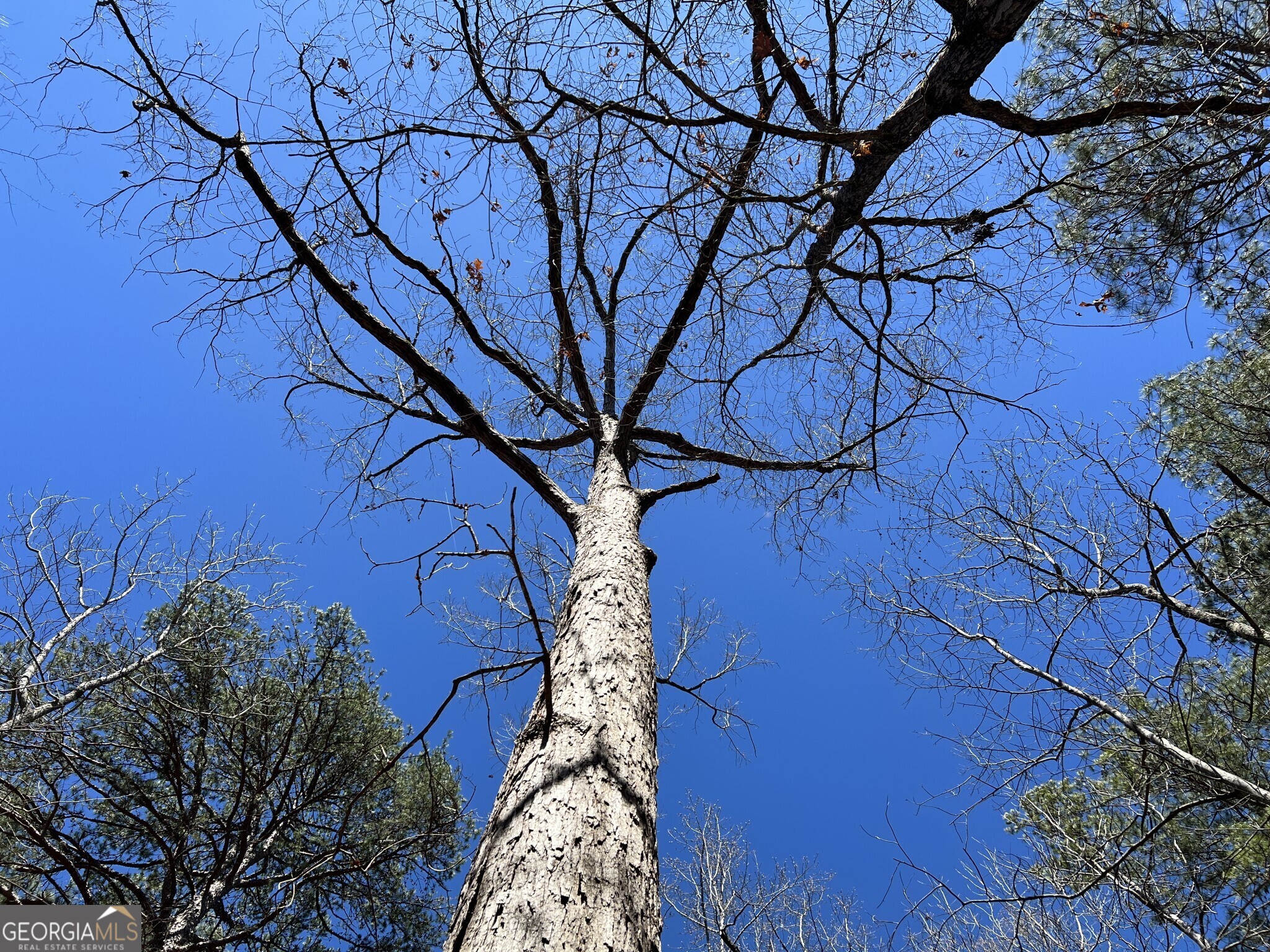 Tract B1 Hulmes Chapel Road Elberton GA 30635