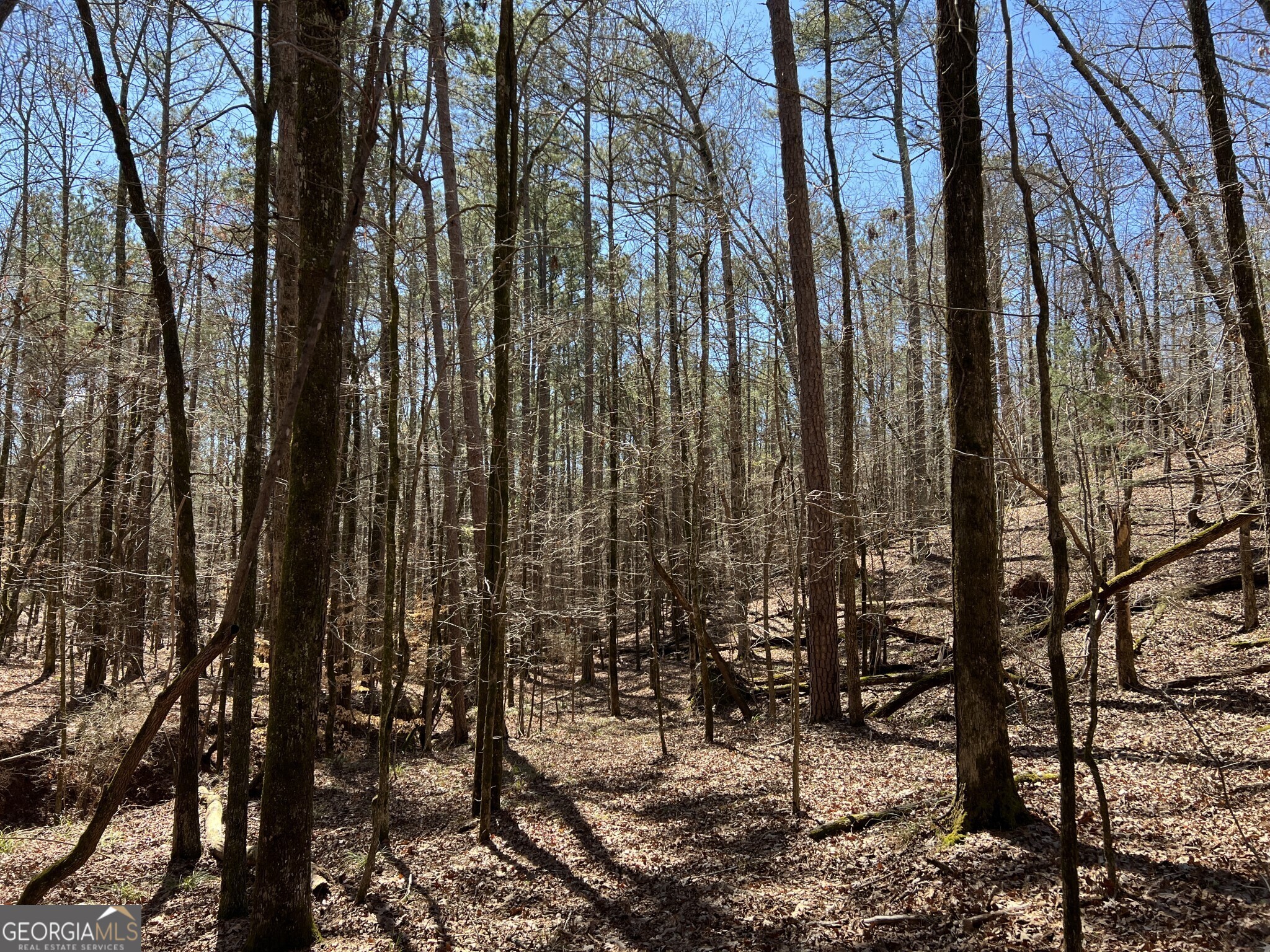 Tract B1 Hulmes Chapel Road Elberton GA 30635
