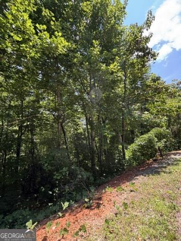 Lot #5 King Mountain Drive Clayton GA 30525