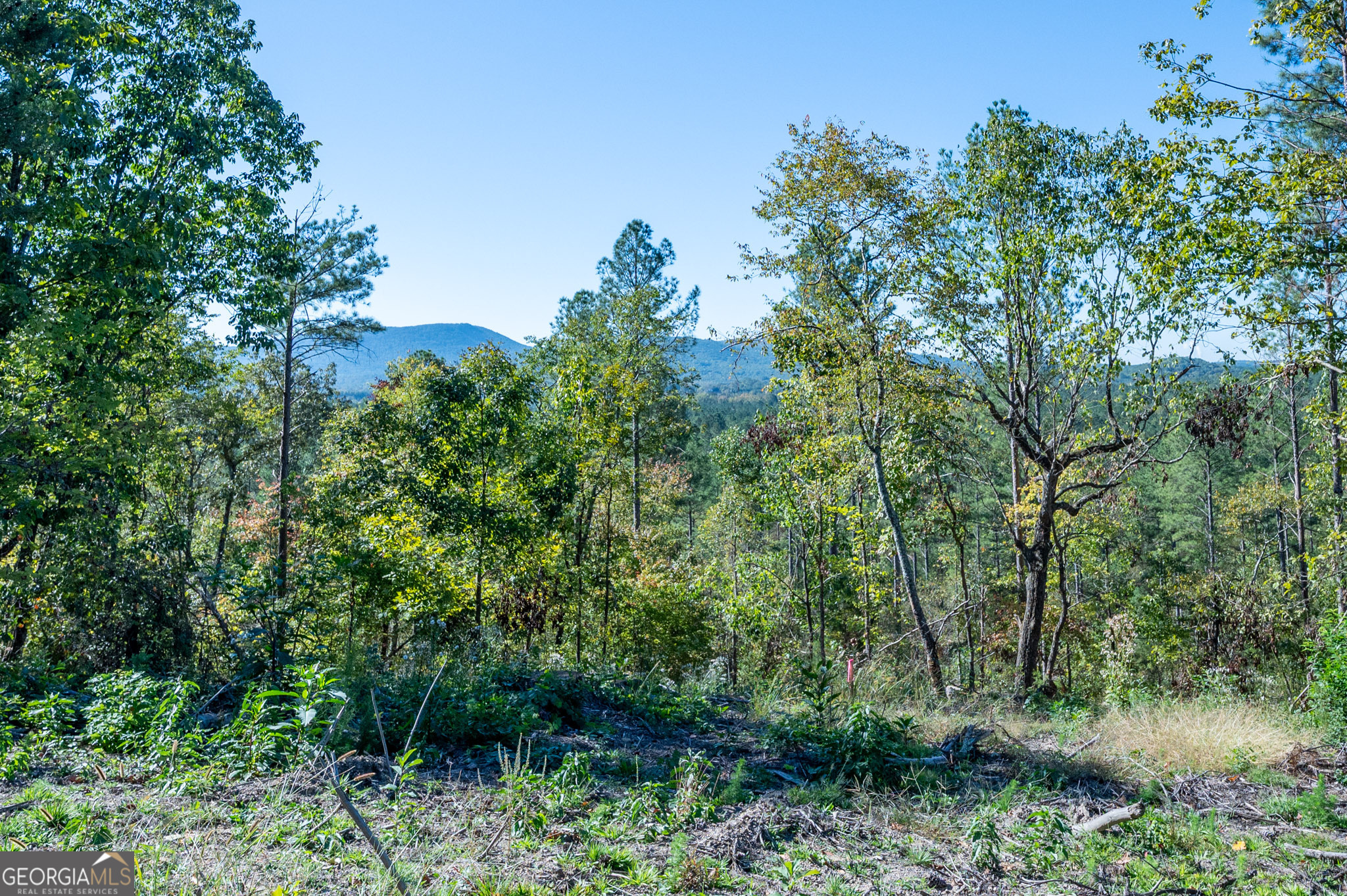 3875 Highway 140 NE Rydal GA 30171