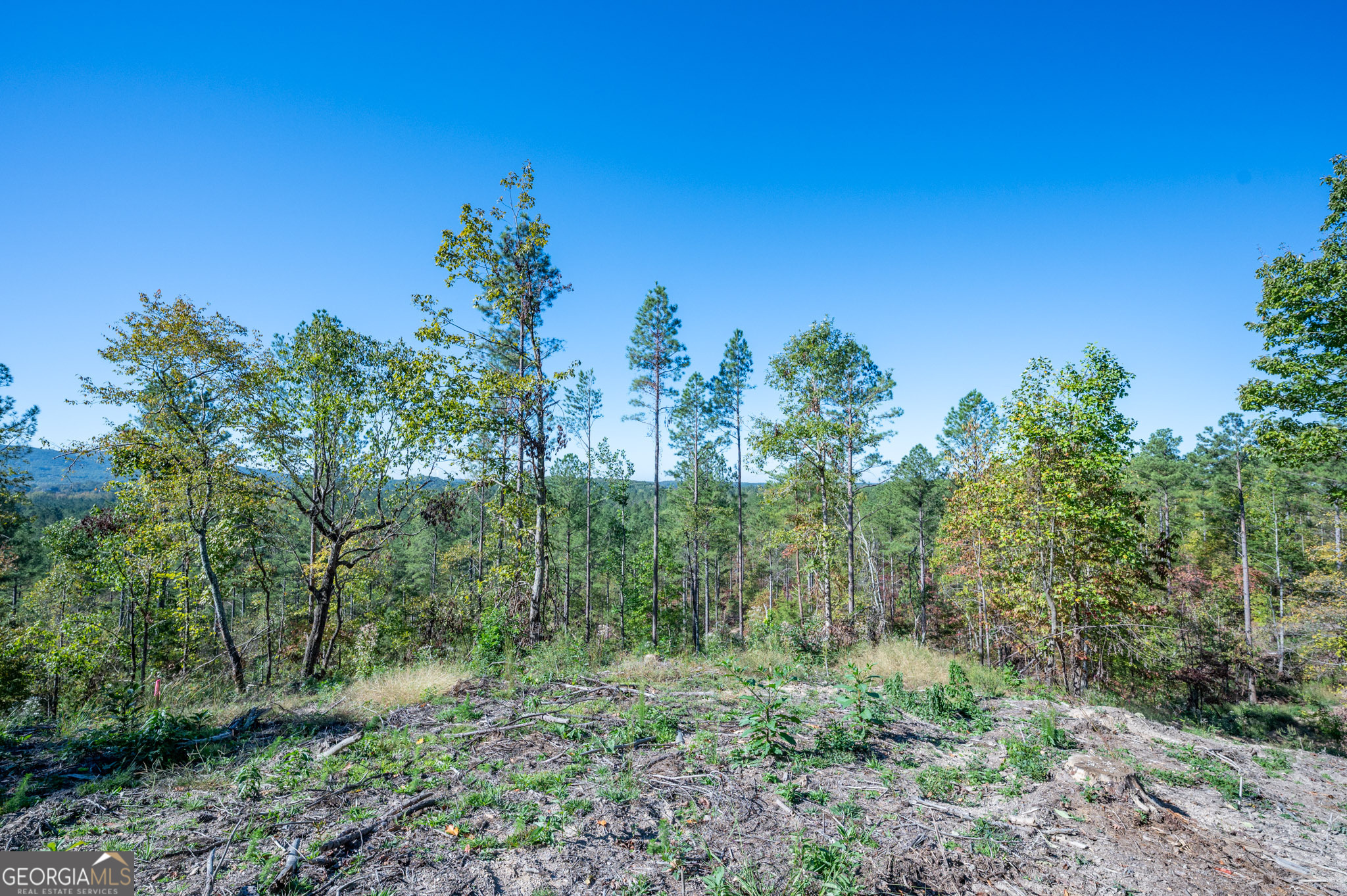 3875 Highway 140 NE Rydal GA 30171