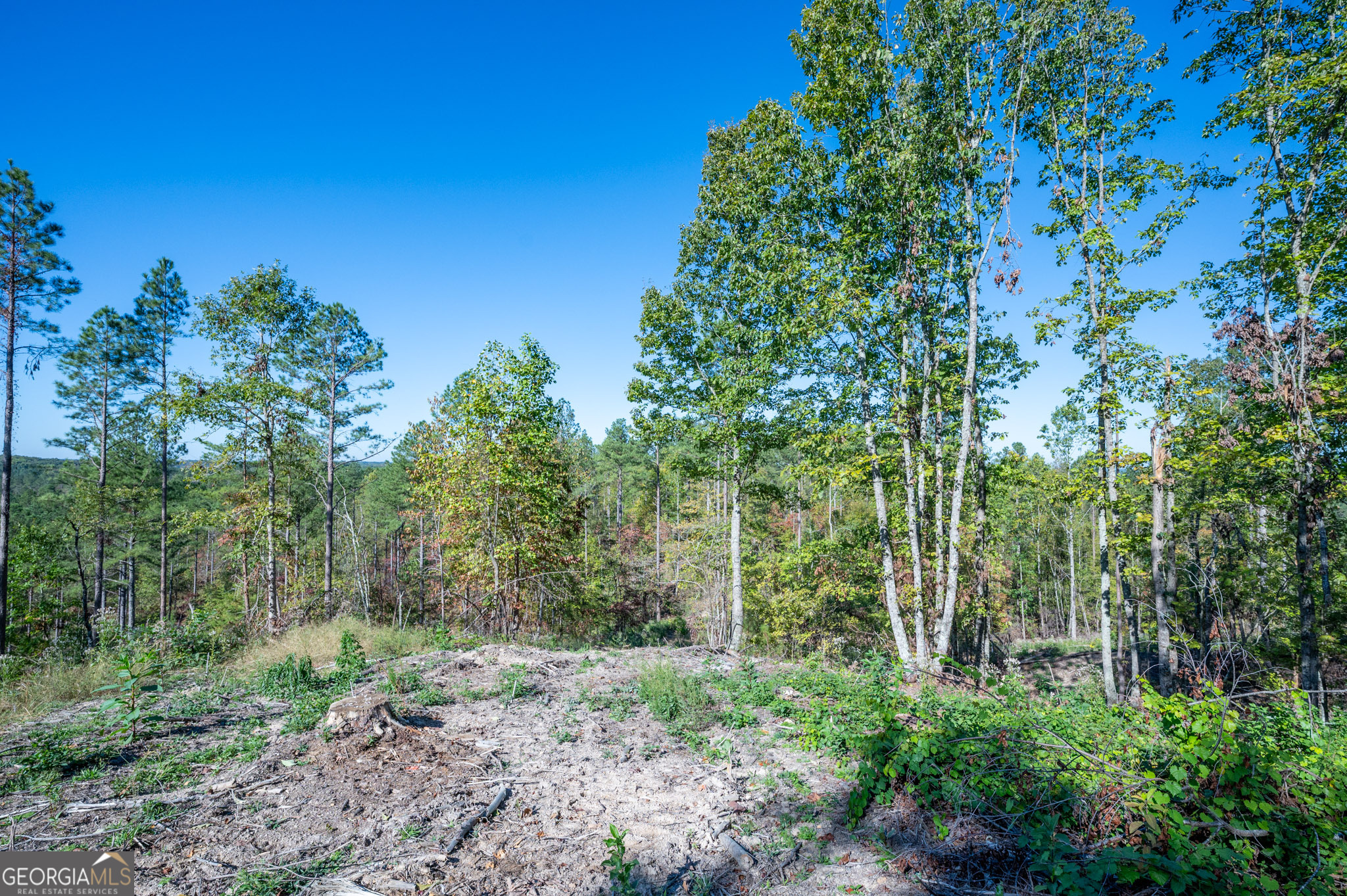 3875 Highway 140 NE Rydal GA 30171