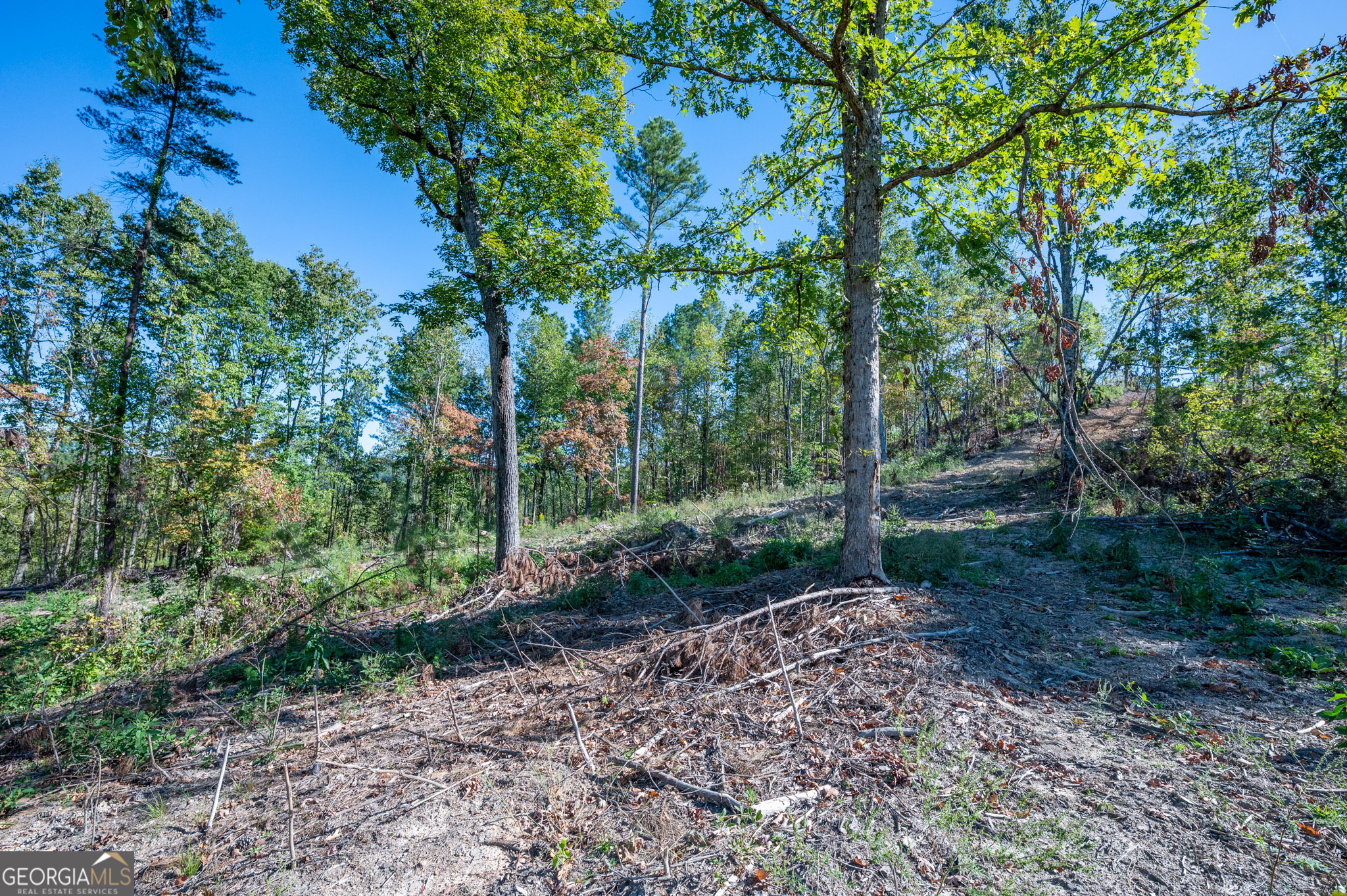 3875 Highway 140 NE Rydal GA 30171