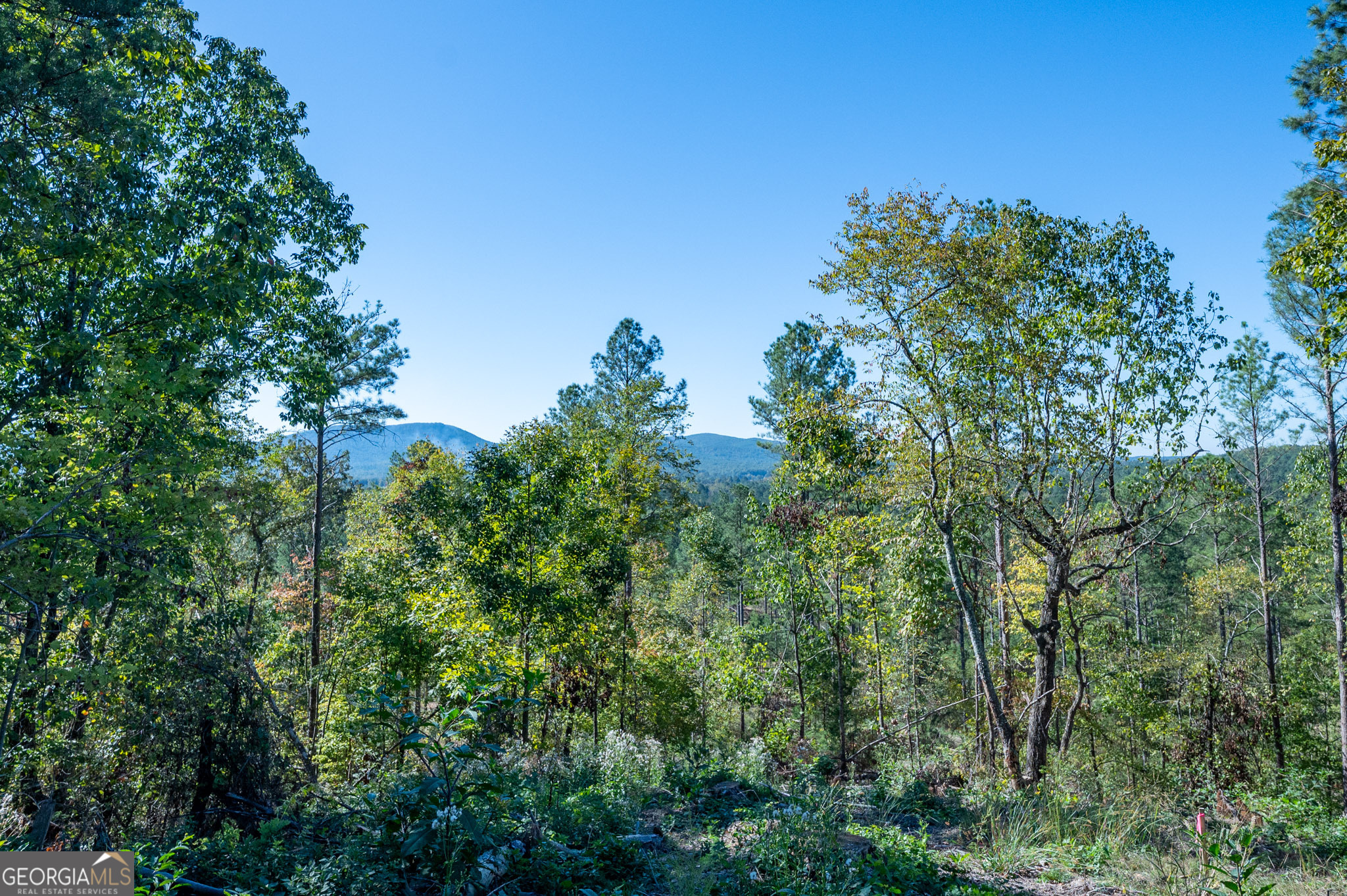 3875 Highway 140 NE Rydal GA 30171