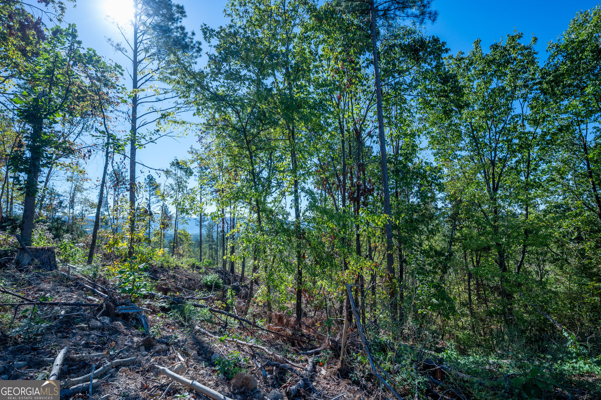 3875 Highway 140 NE Rydal GA 30171