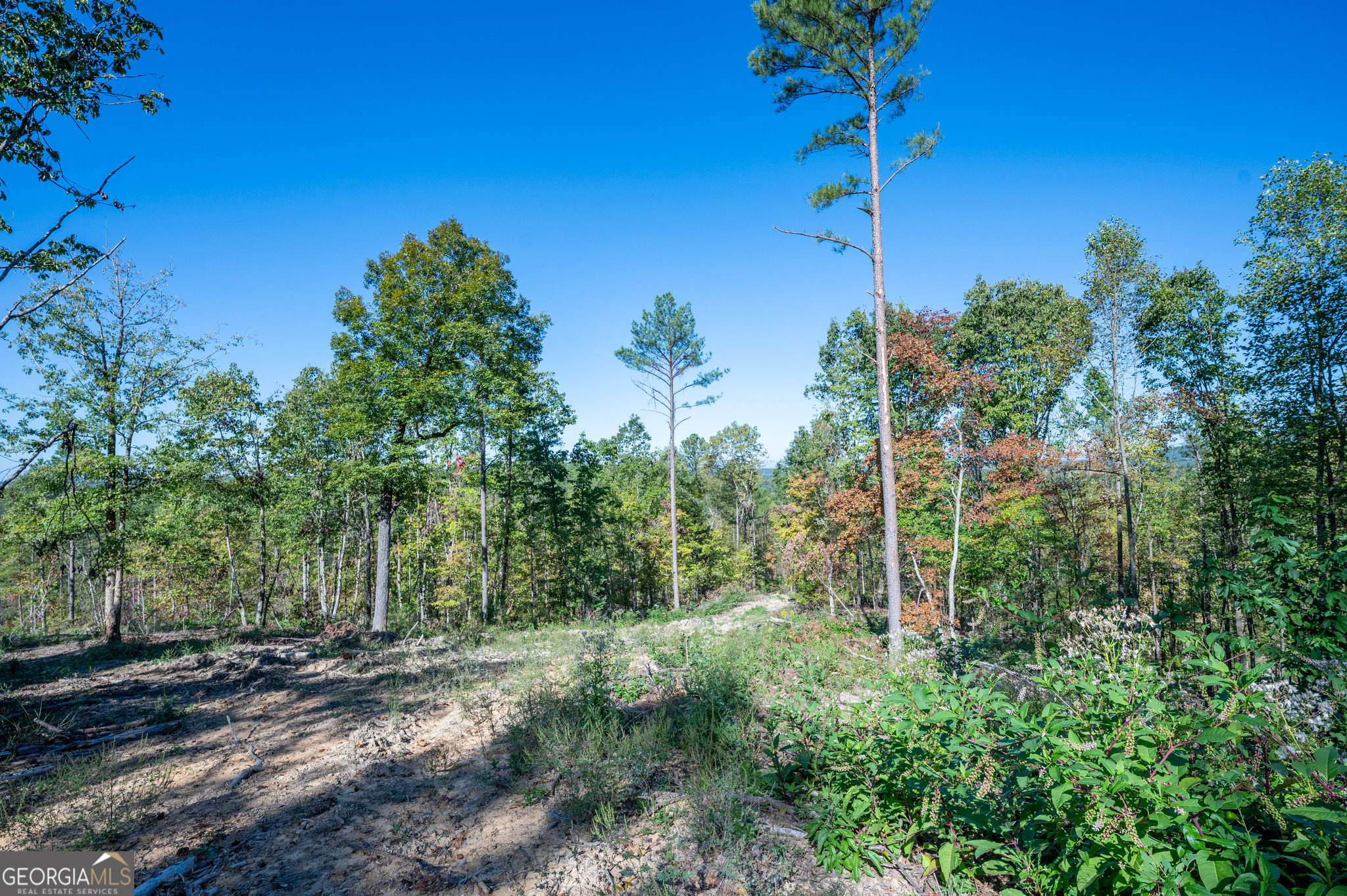 3875 Highway 140 NE Rydal GA 30171