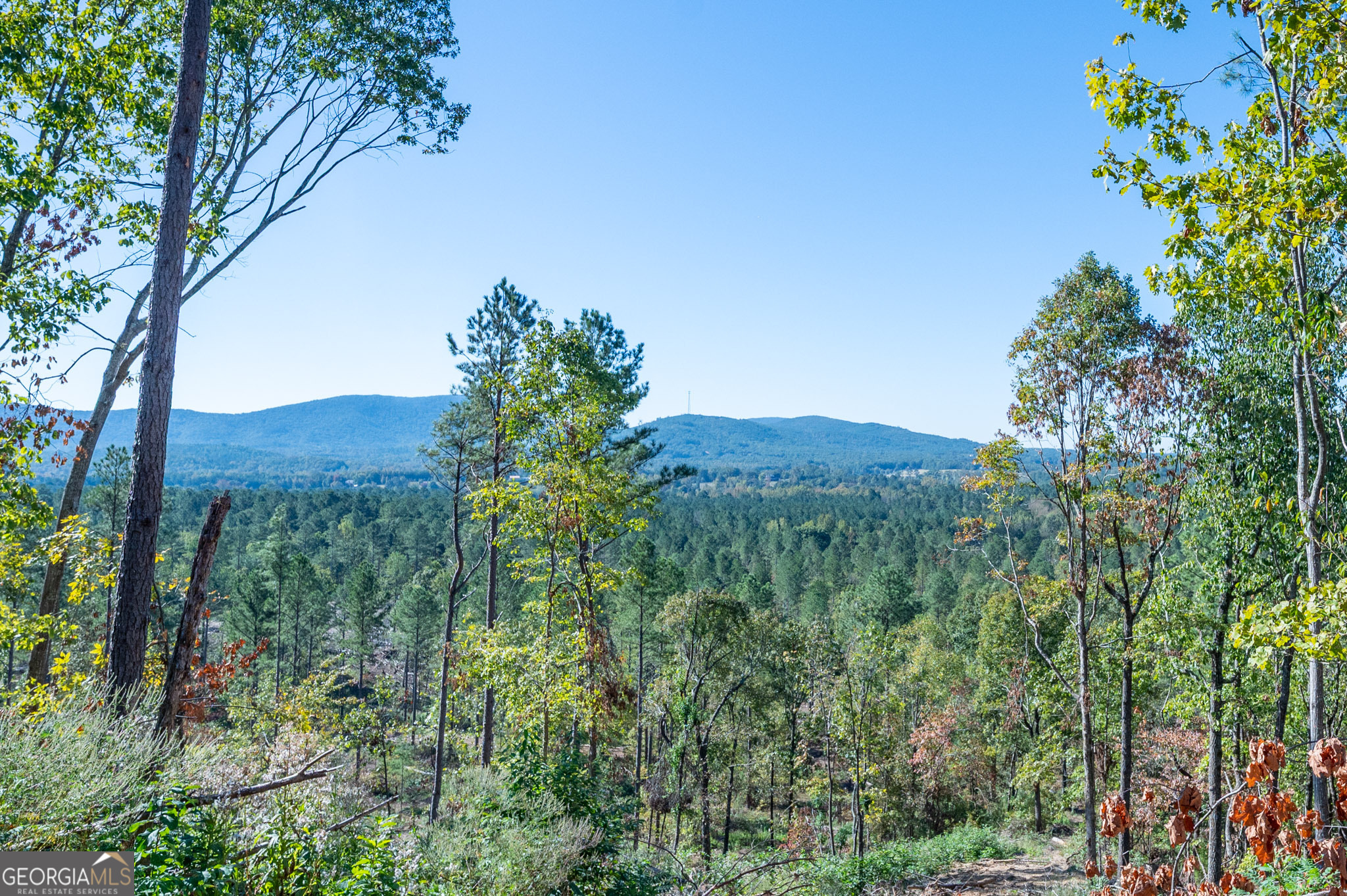 3875 Highway 140 NE Rydal GA 30171