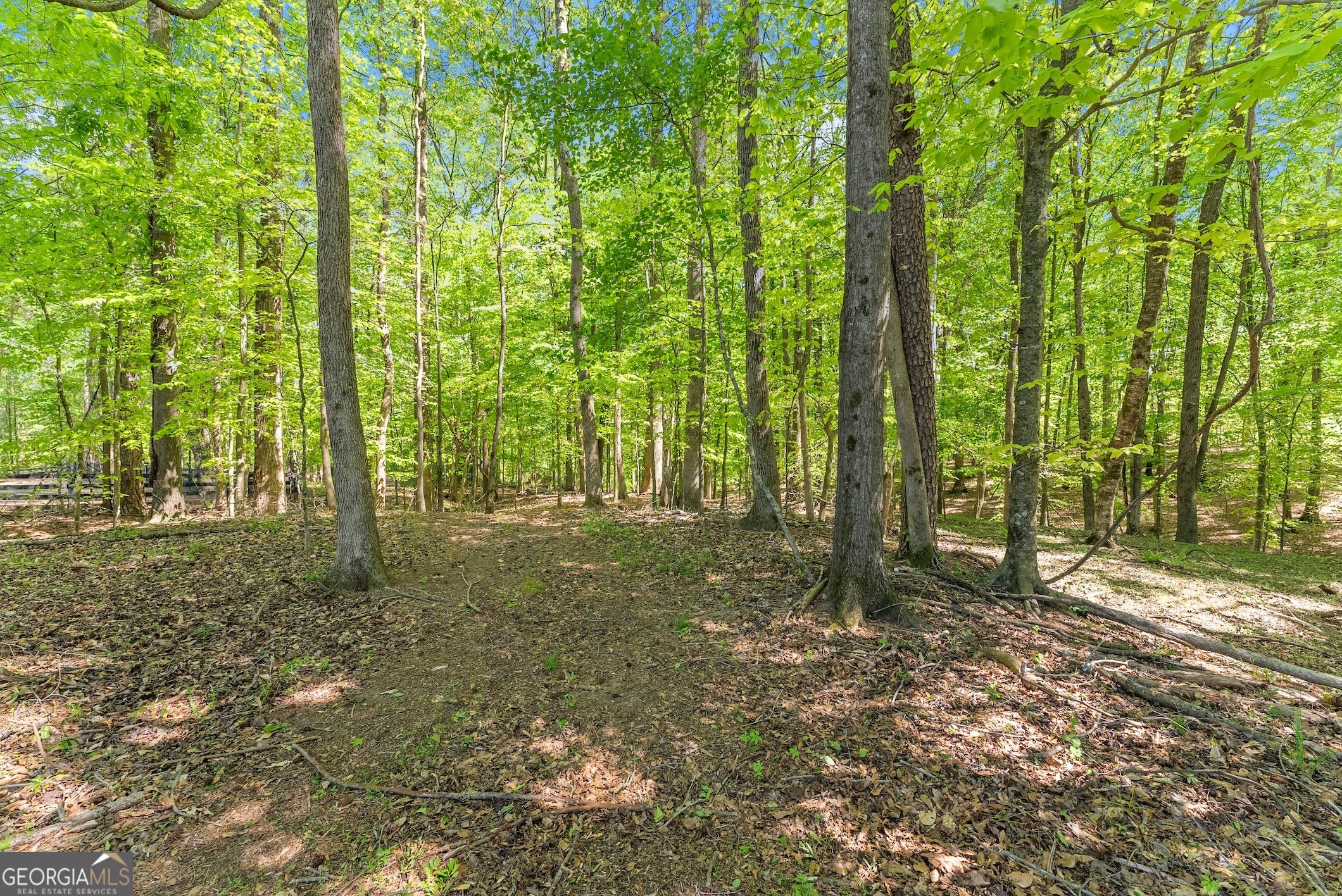860 Canter Way Jefferson GA 30549