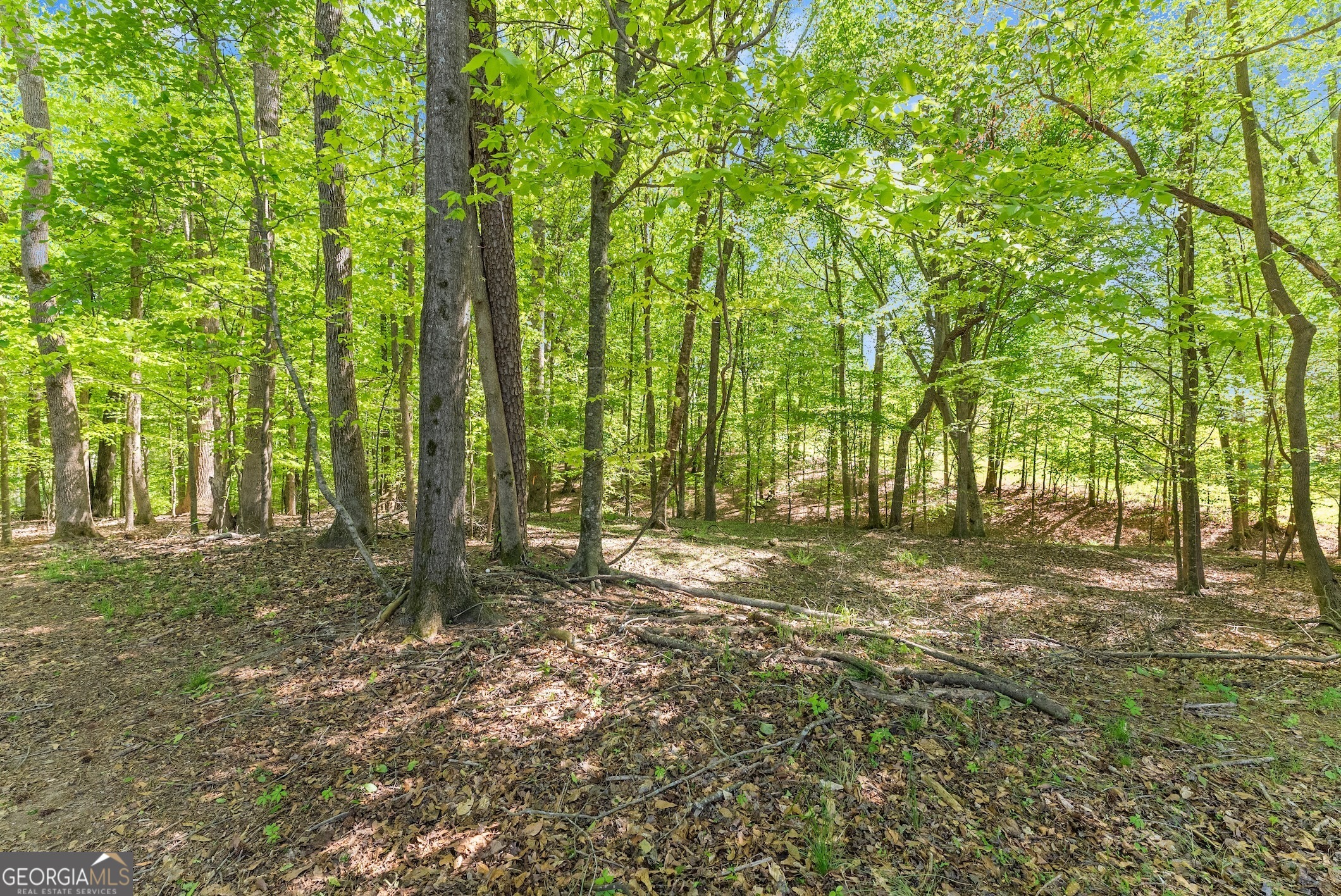 860 Canter Way Jefferson GA 30549