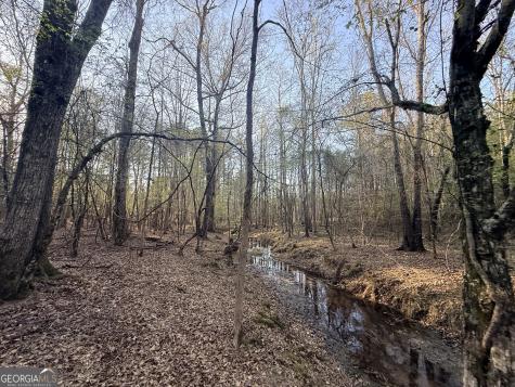 8 Hollis Norman Road Tignall GA 30668