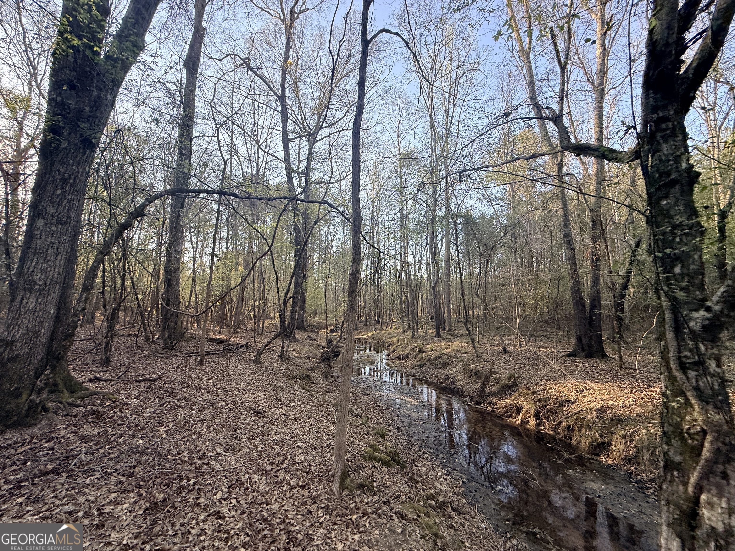 8 Hollis Norman Road Tignall GA 30668