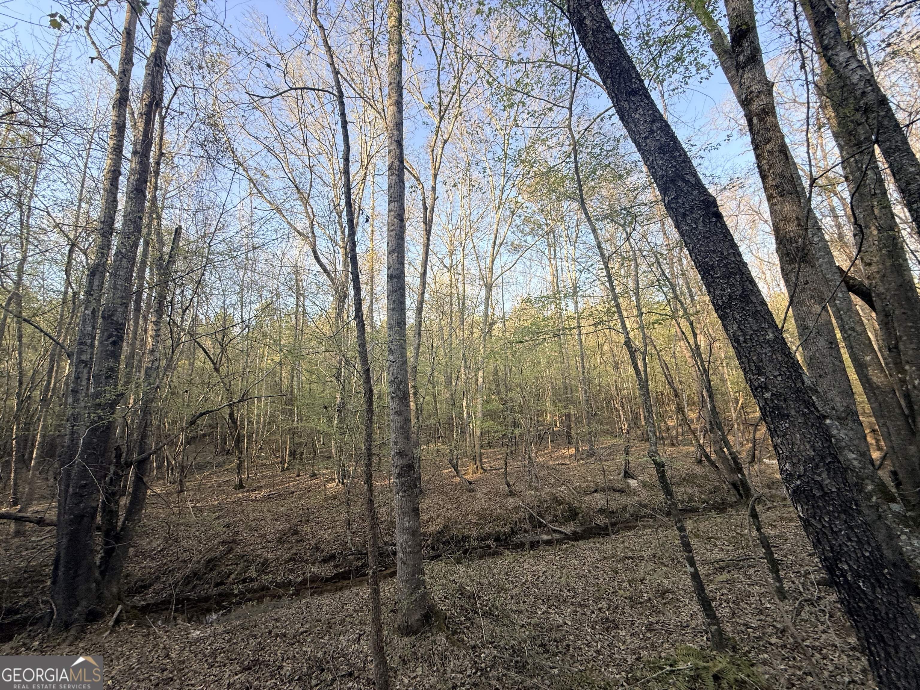 8 Hollis Norman Road Tignall GA 30668