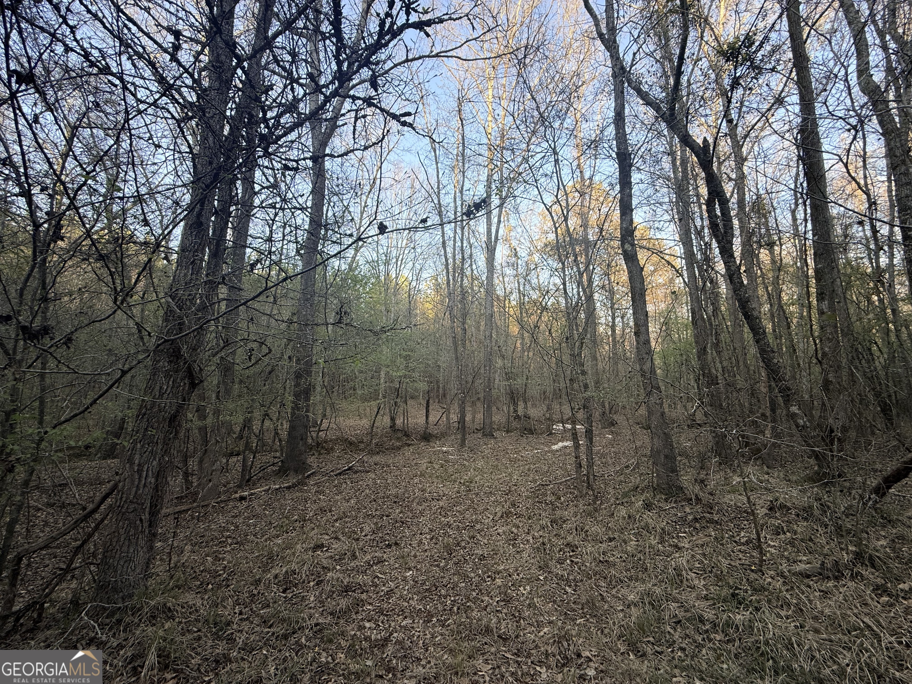 8 Hollis Norman Road Tignall GA 30668