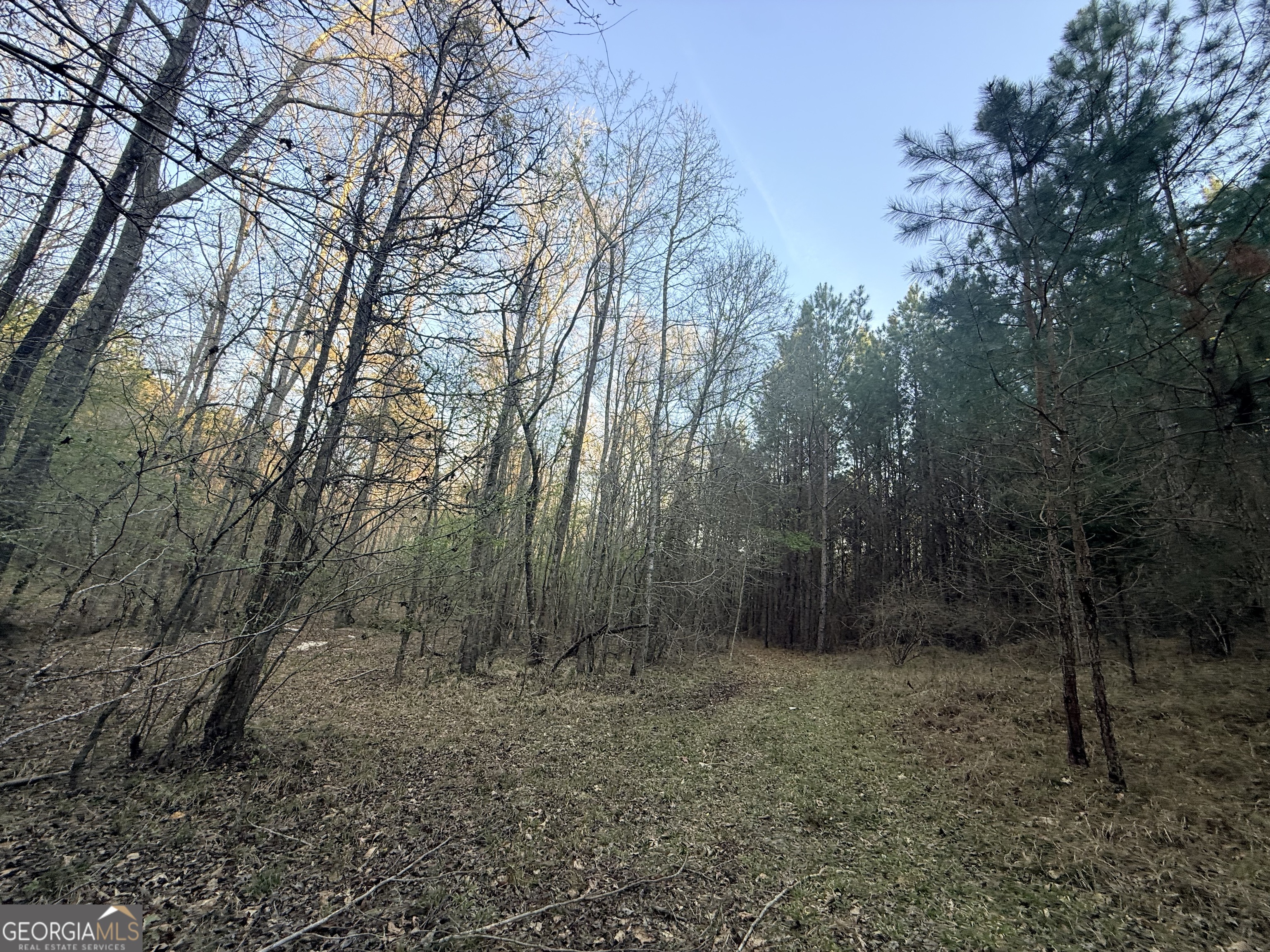 8 Hollis Norman Road Tignall GA 30668