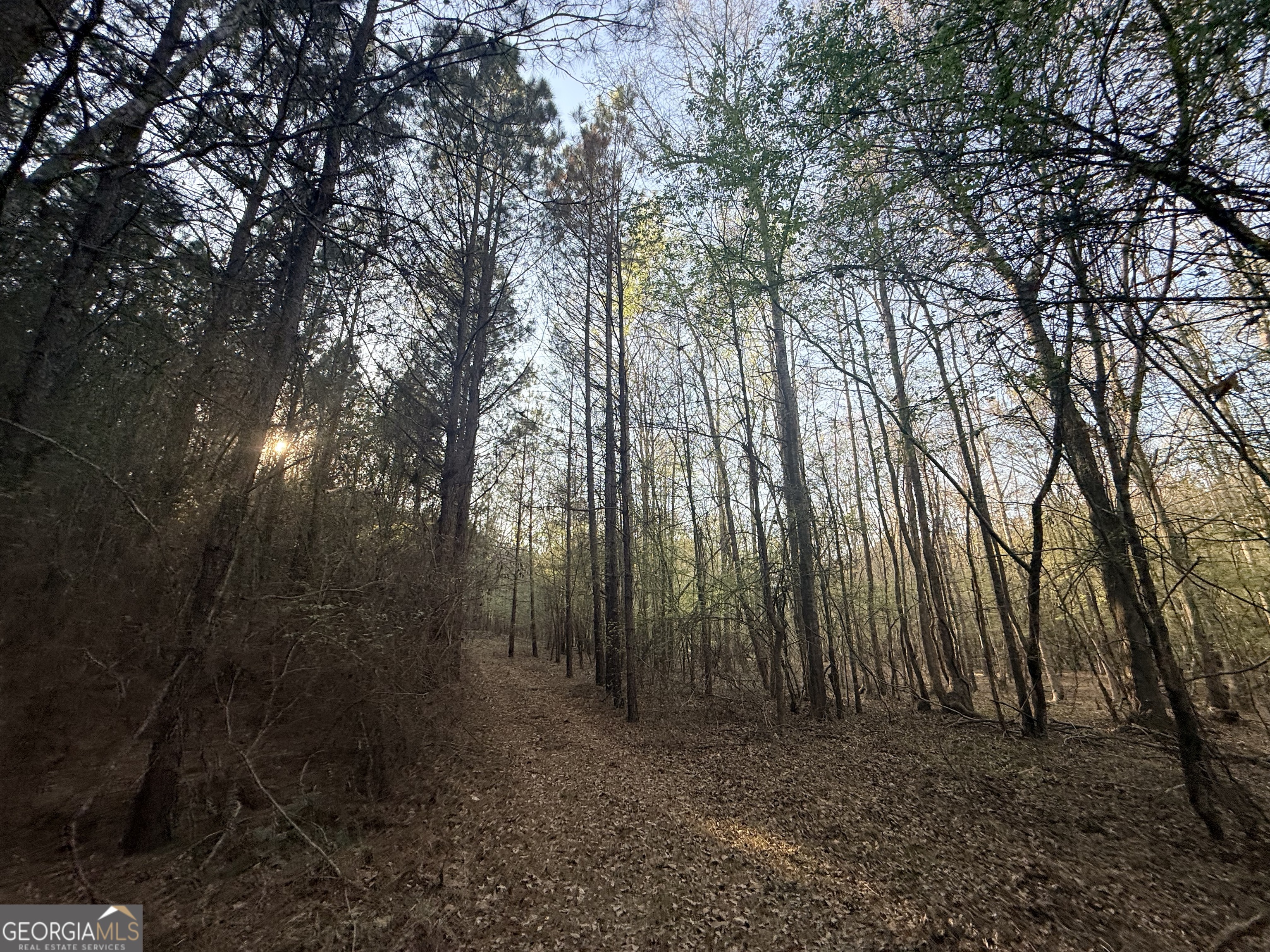 8 Hollis Norman Road Tignall GA 30668