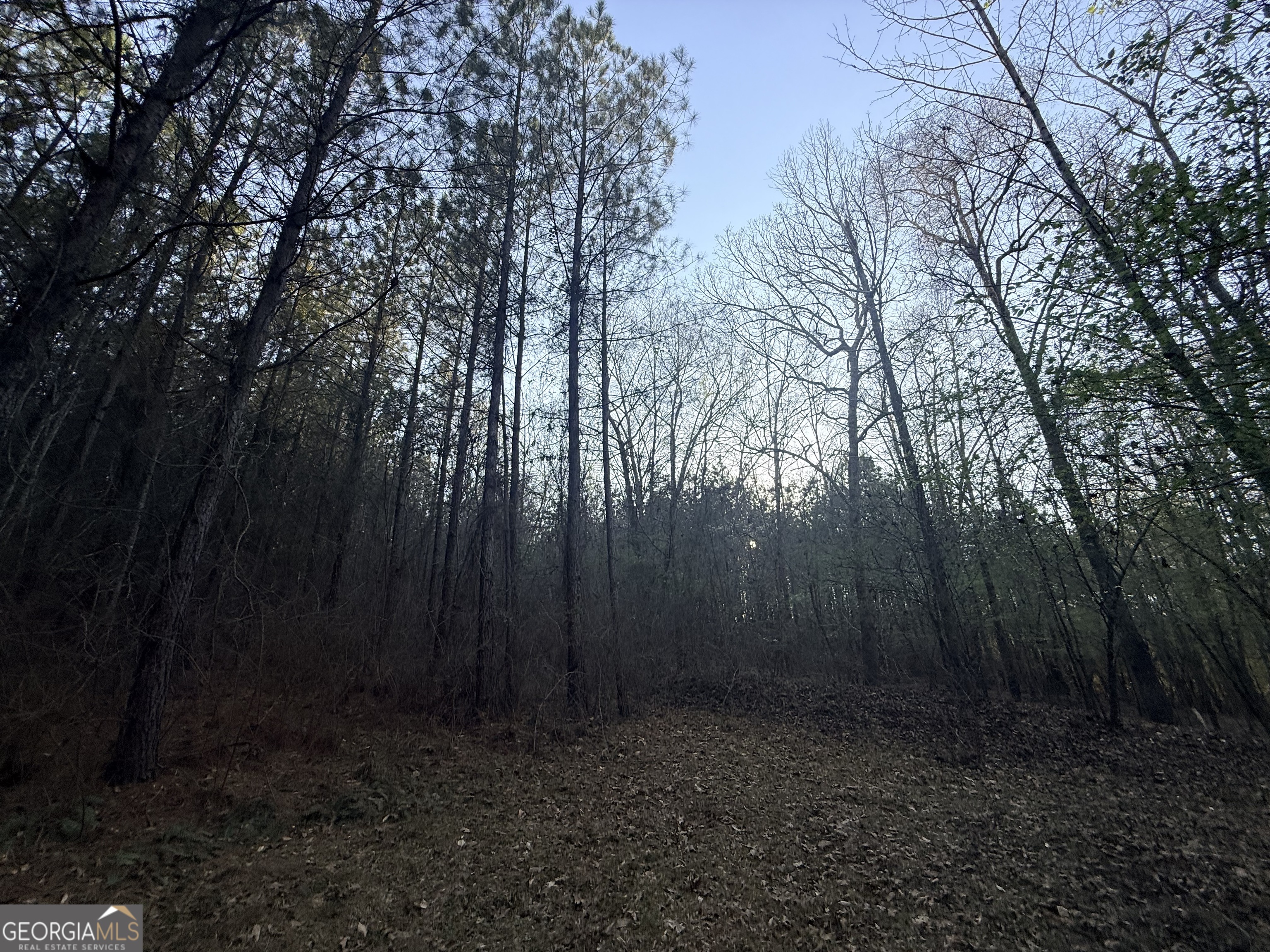 8 Hollis Norman Road Tignall GA 30668