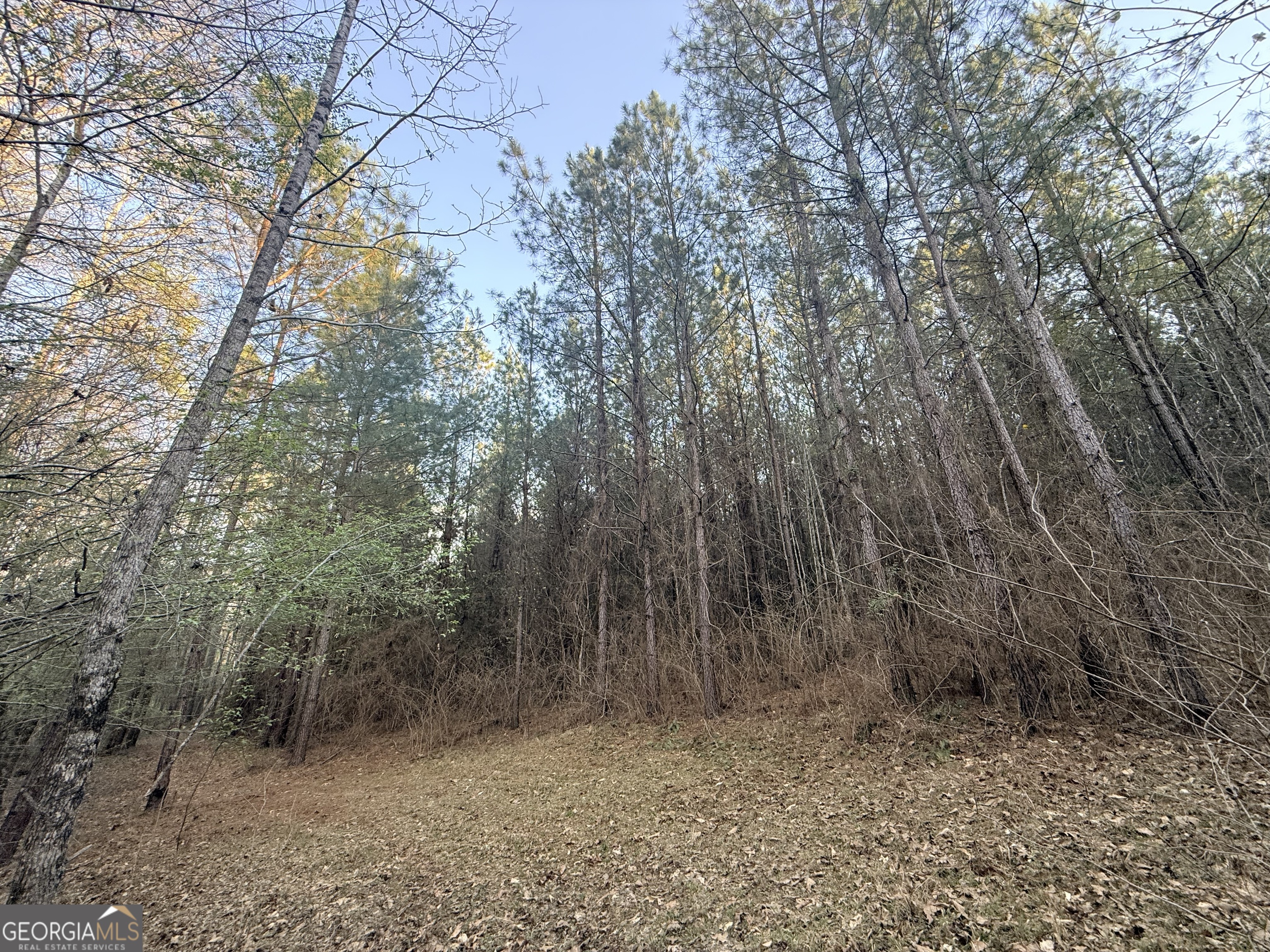 8 Hollis Norman Road Tignall GA 30668