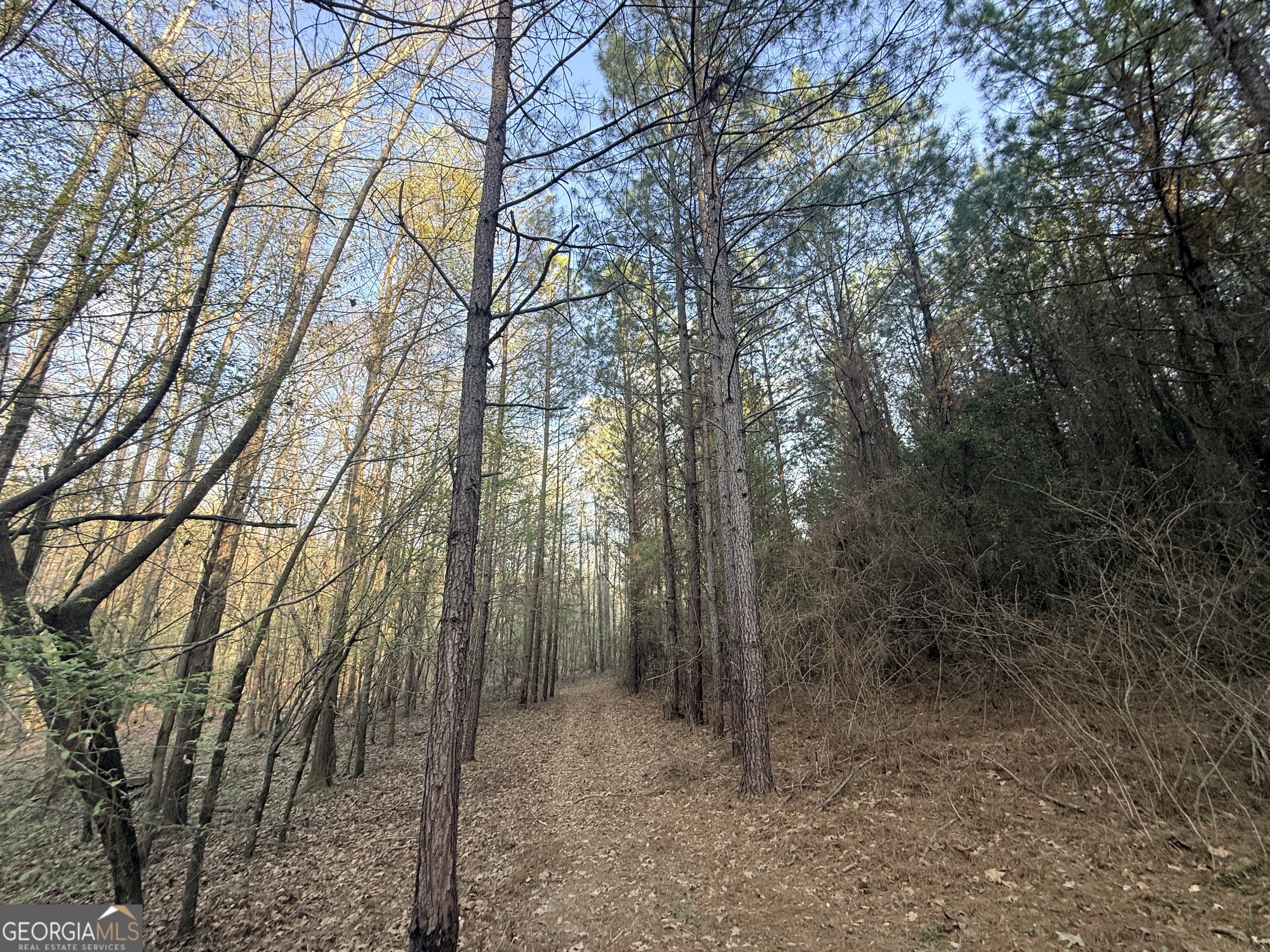8 Hollis Norman Road Tignall GA 30668