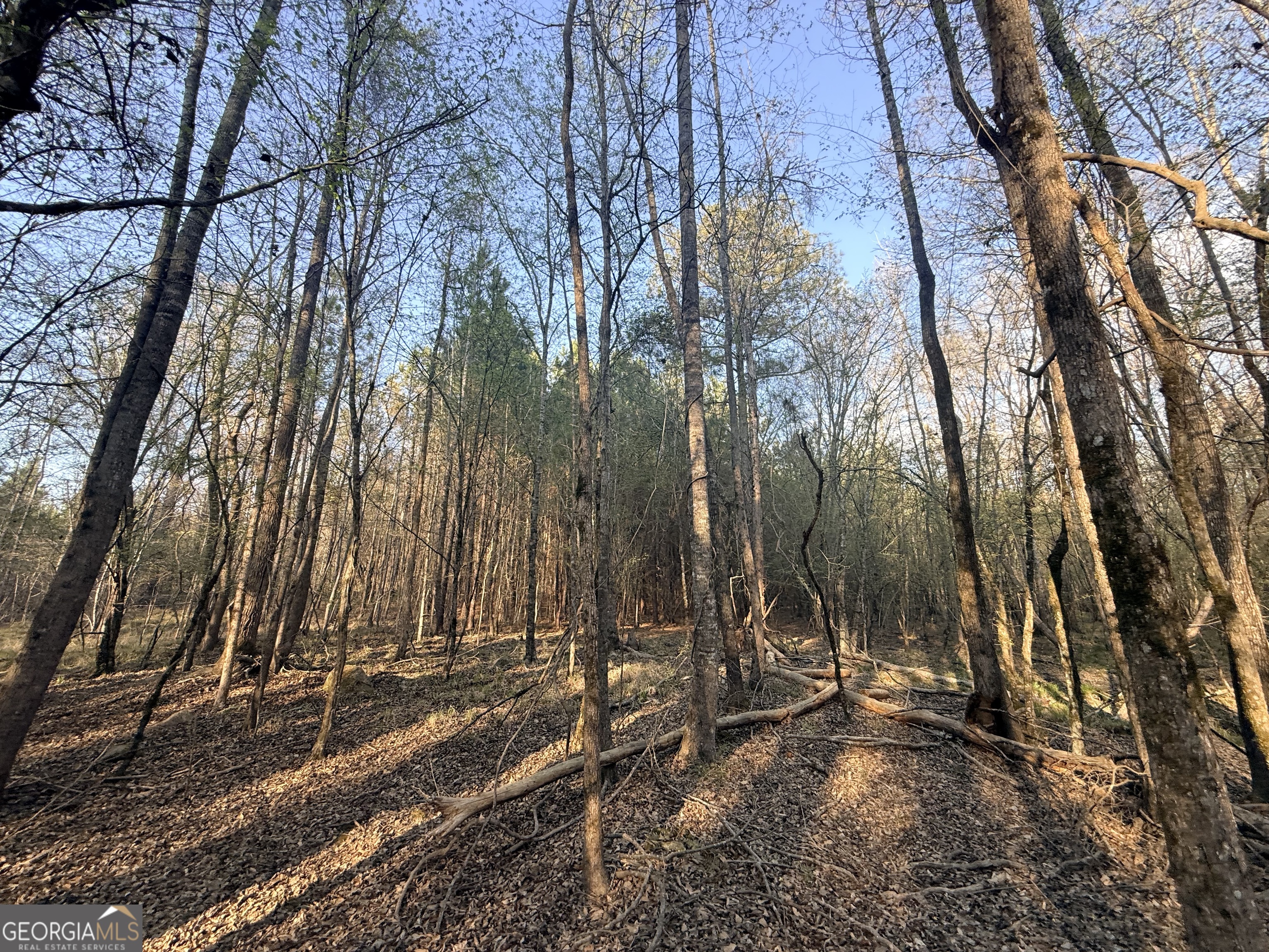 8 Hollis Norman Road Tignall GA 30668
