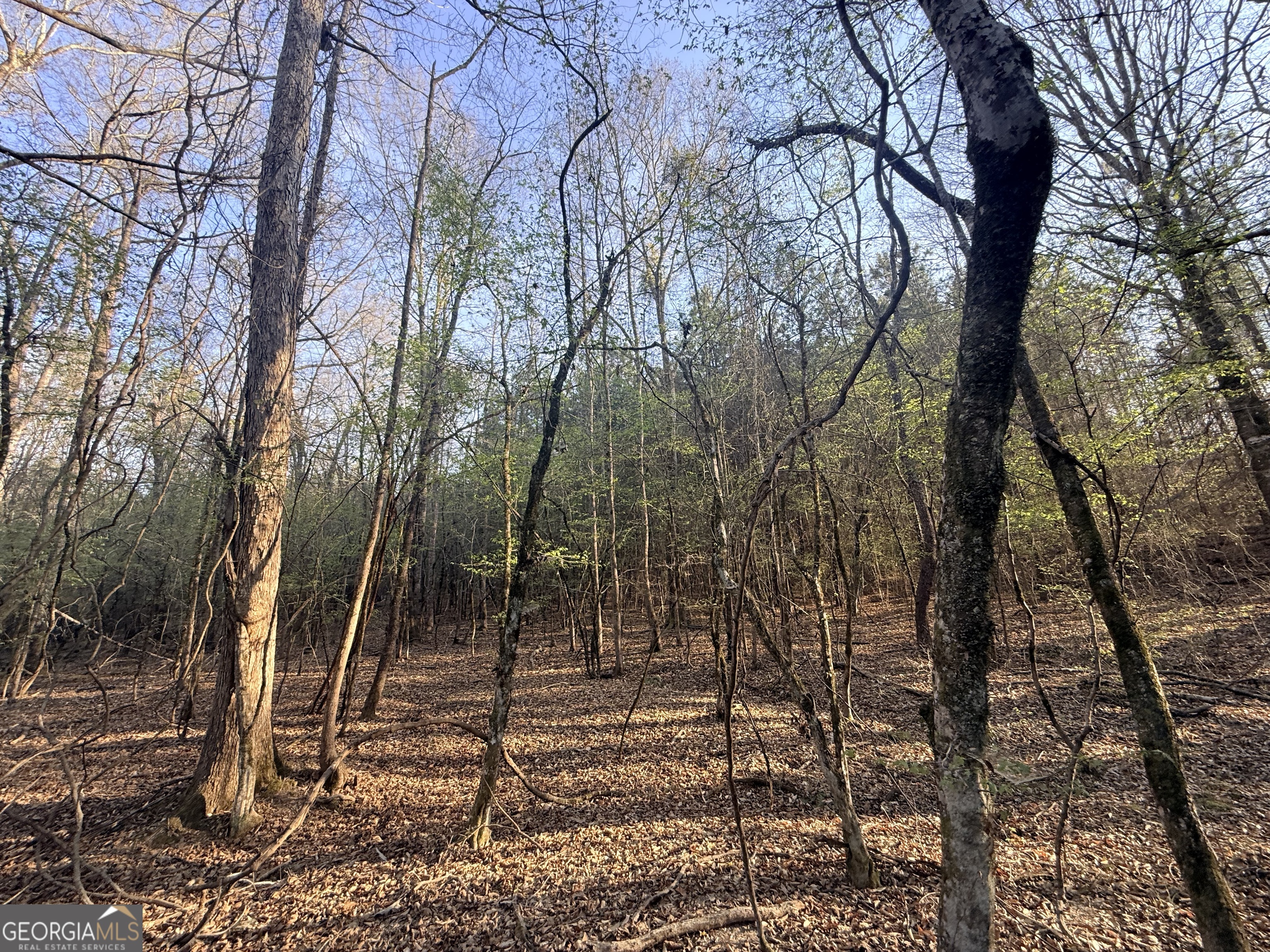 8 Hollis Norman Road Tignall GA 30668