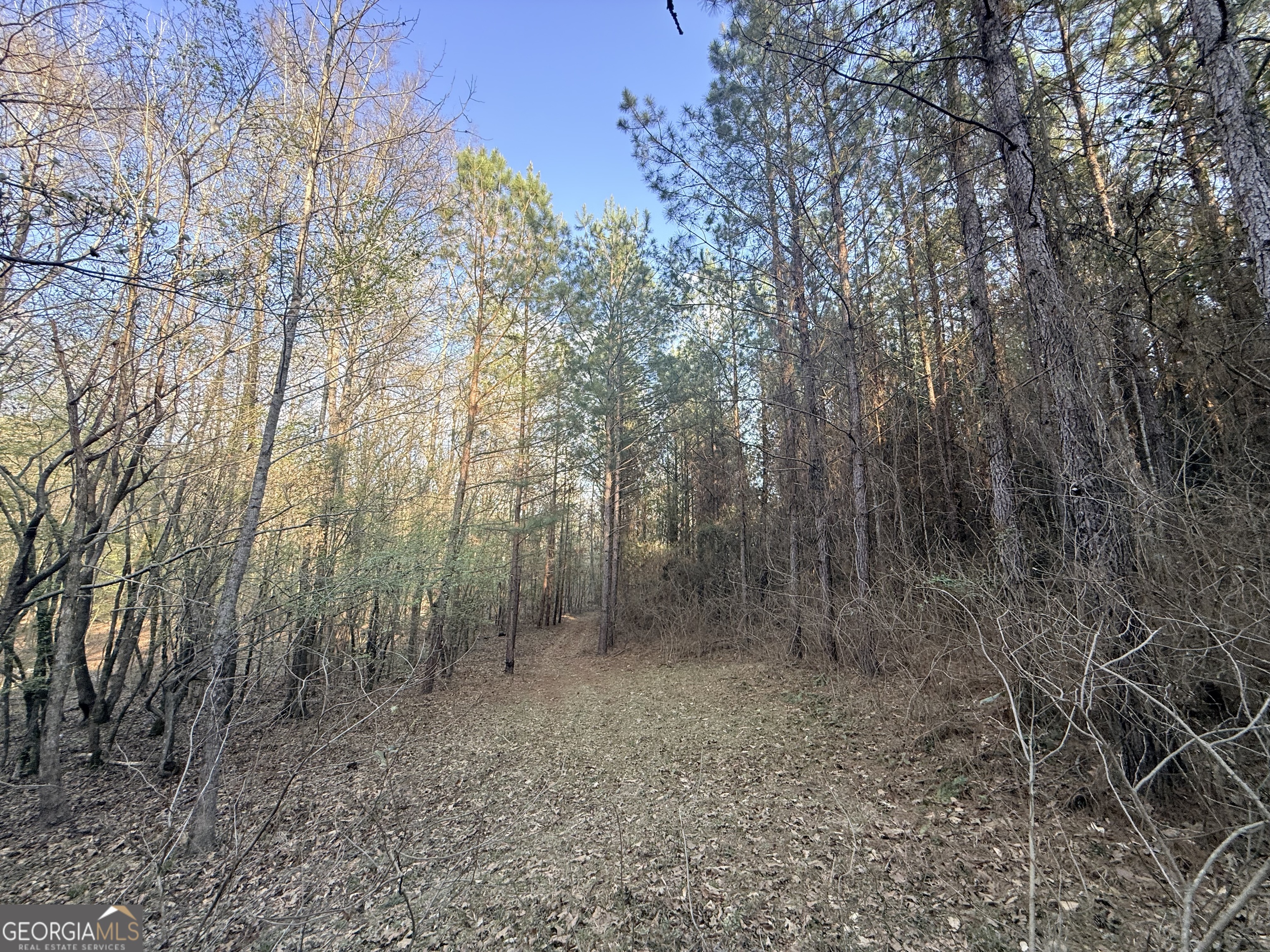 8 Hollis Norman Road Tignall GA 30668