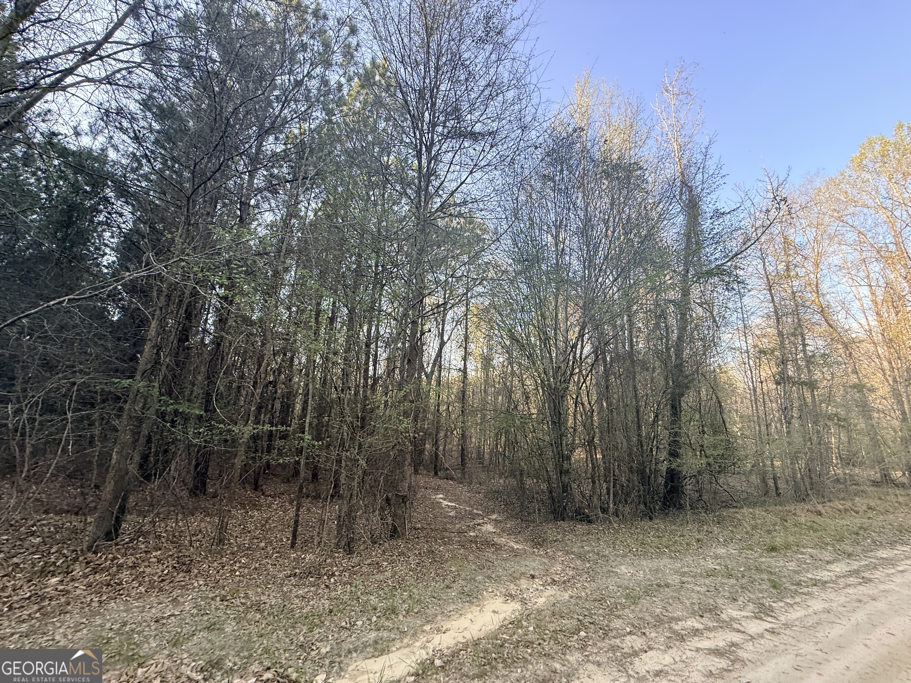 8 Hollis Norman Road Tignall GA 30668