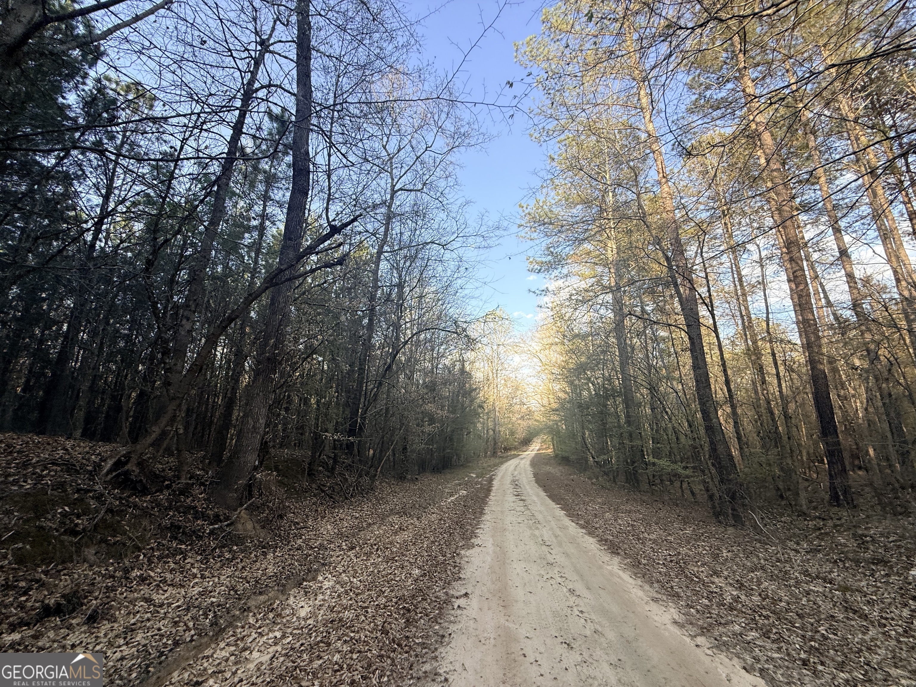 8 Hollis Norman Road Tignall GA 30668