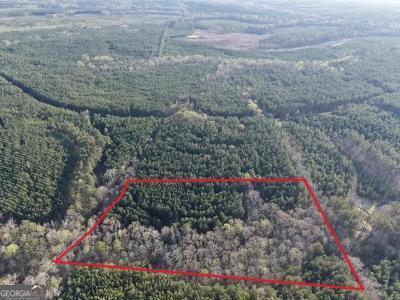 8 Hollis Norman Road Tignall GA 30668