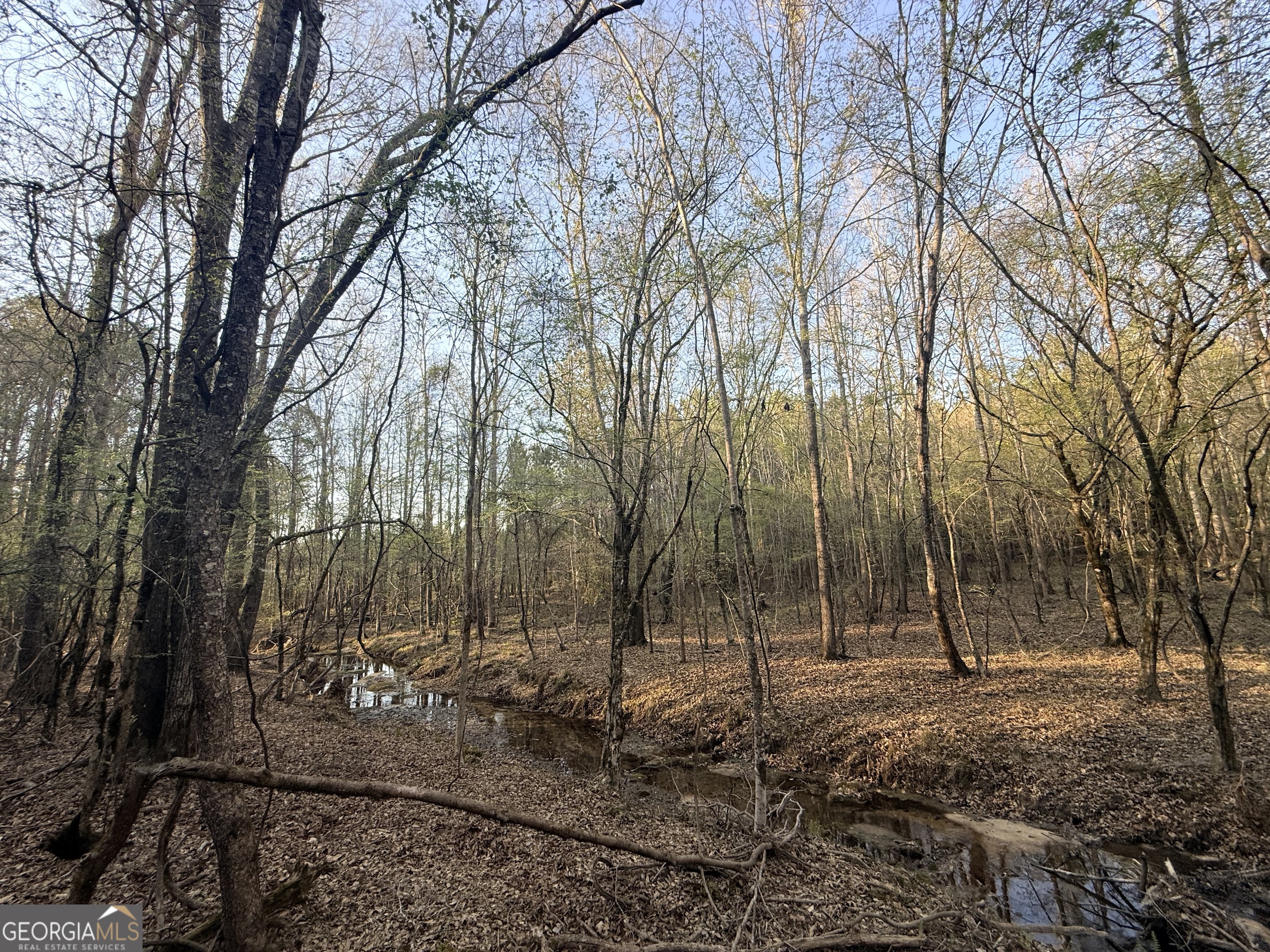 8 Hollis Norman Road Tignall GA 30668