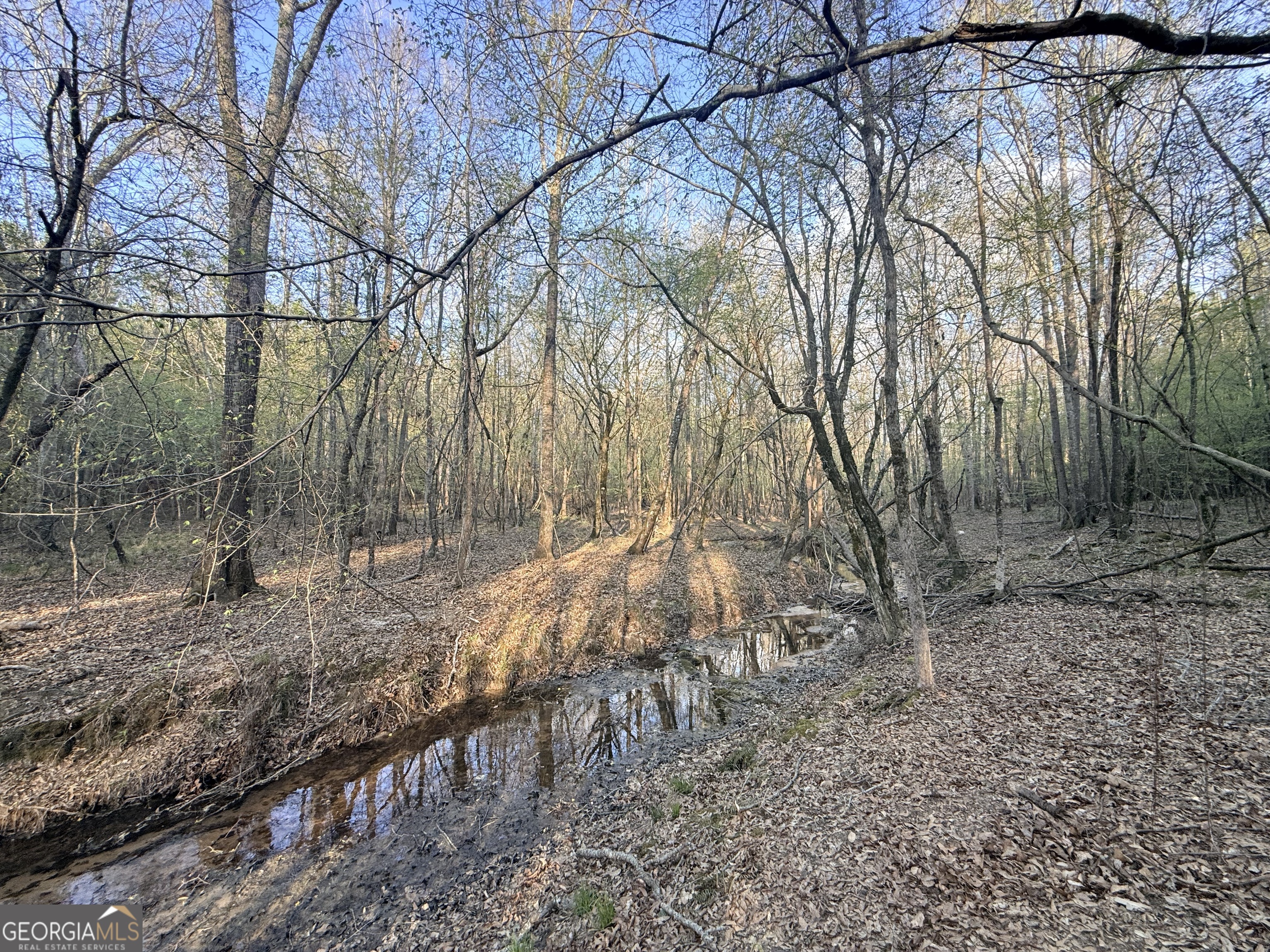 8 Hollis Norman Road Tignall GA 30668