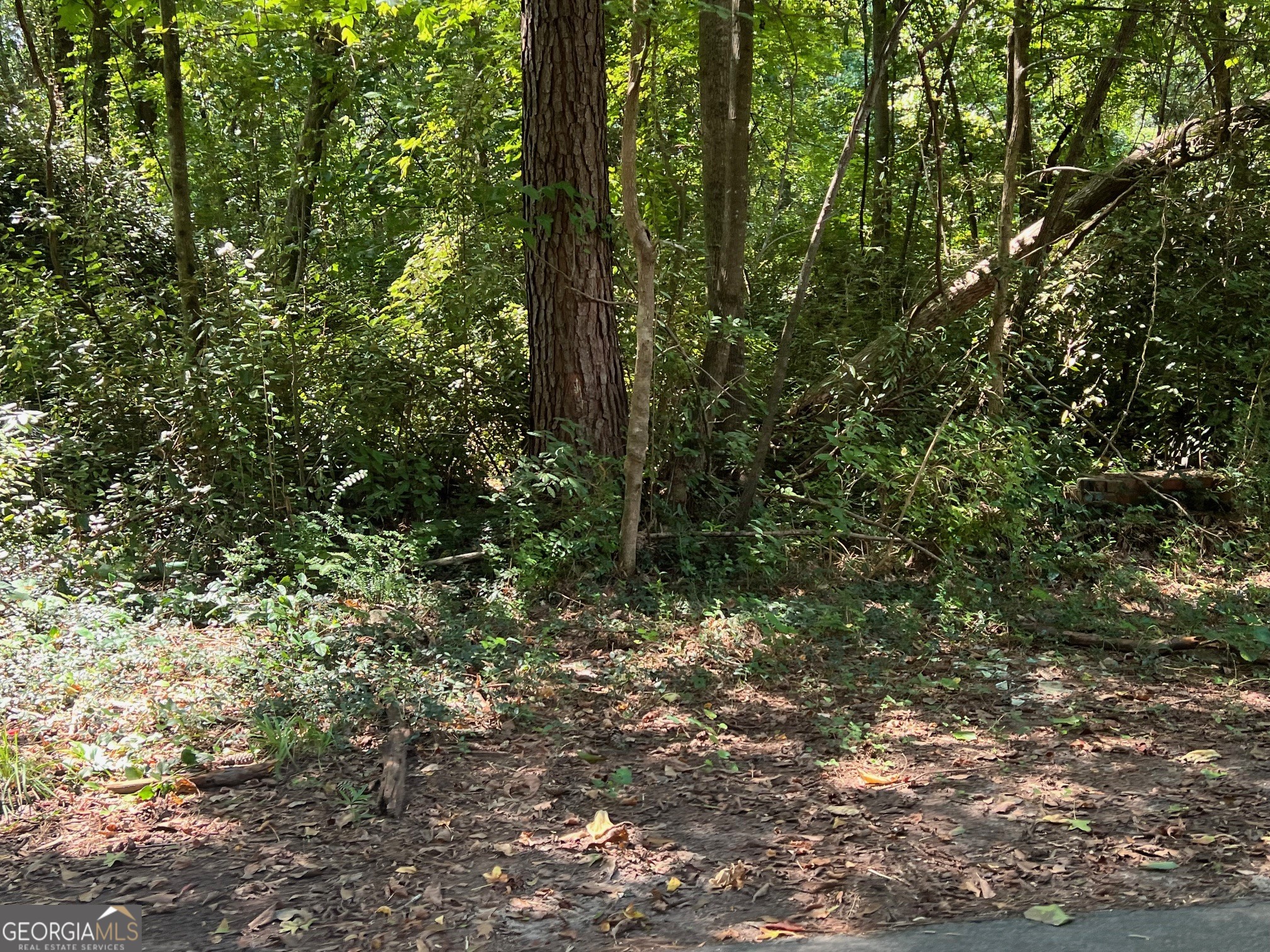 0 Tye Stockbridge GA 30281