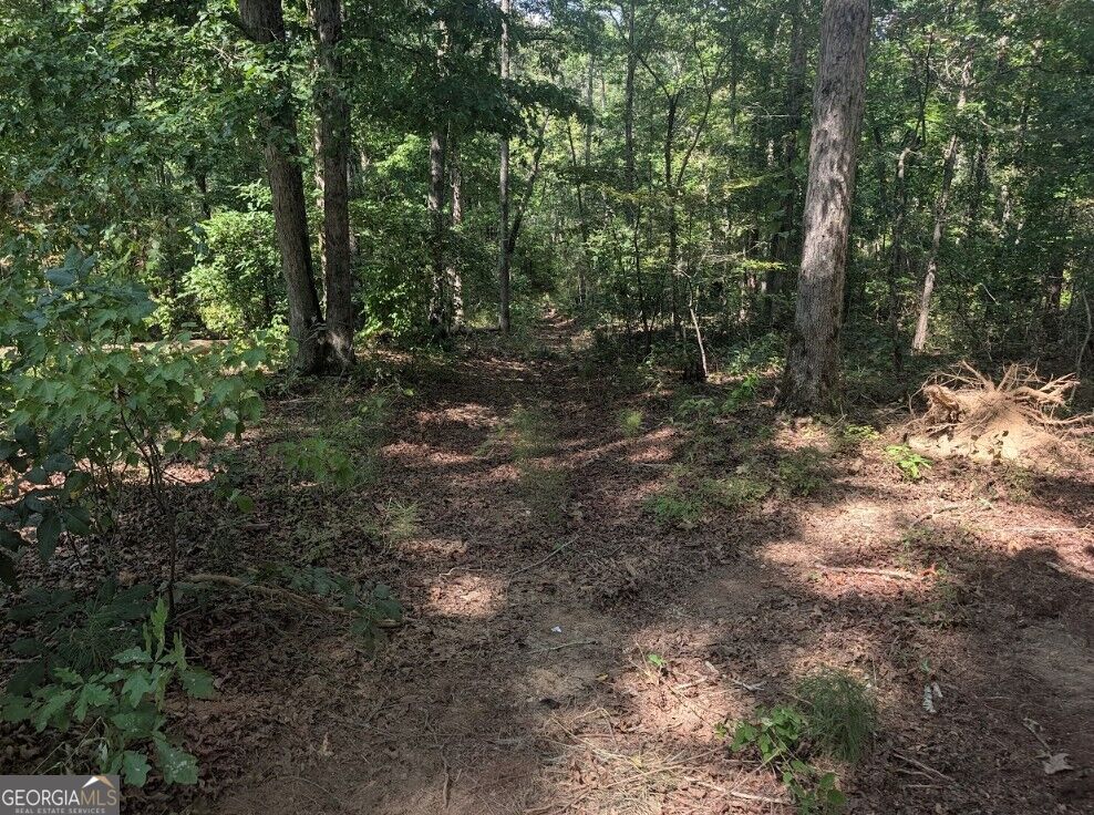 508 Kelley Creek Road Waco GA 30182