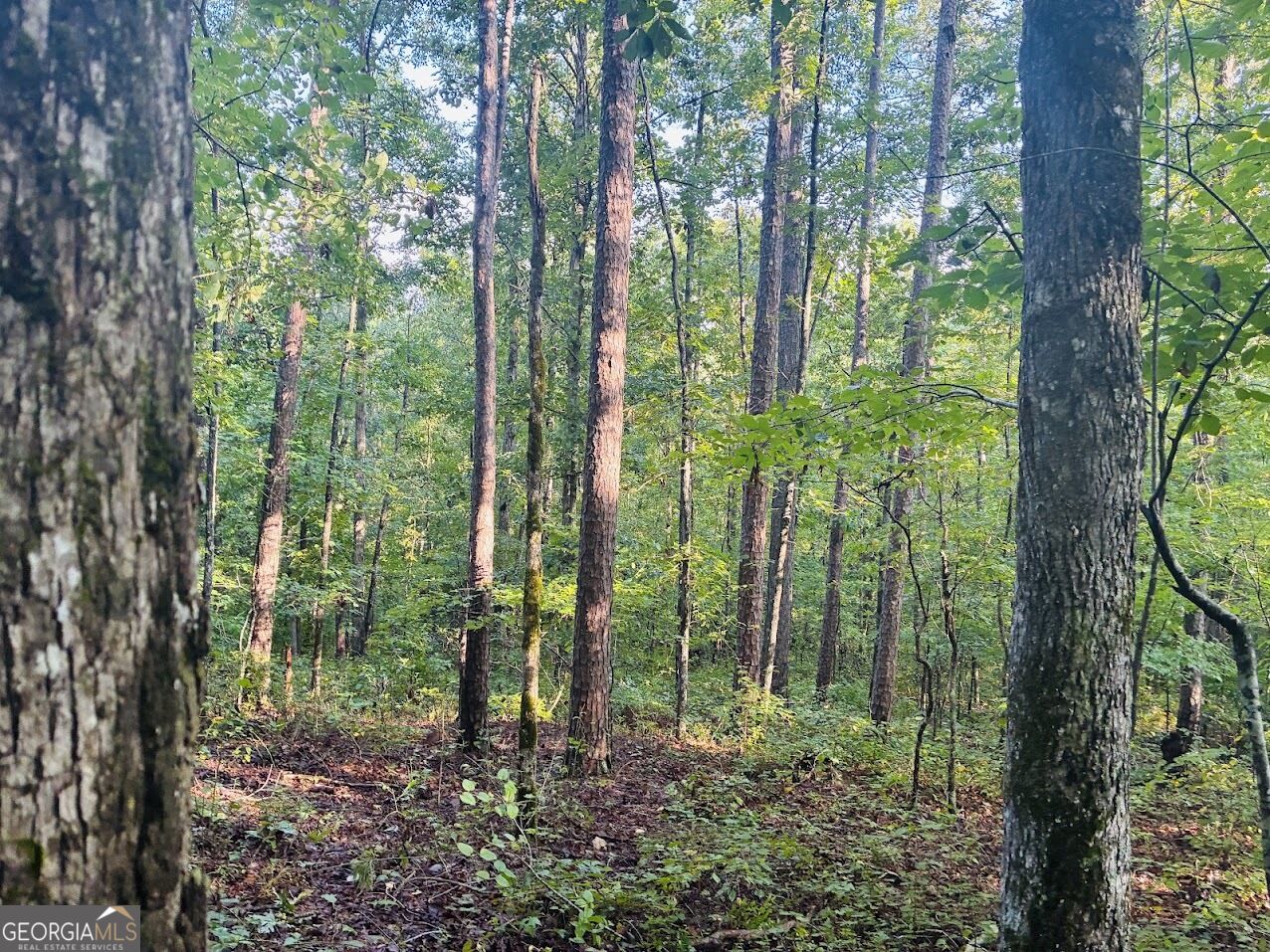 508 Kelley Creek Road Waco GA 30182