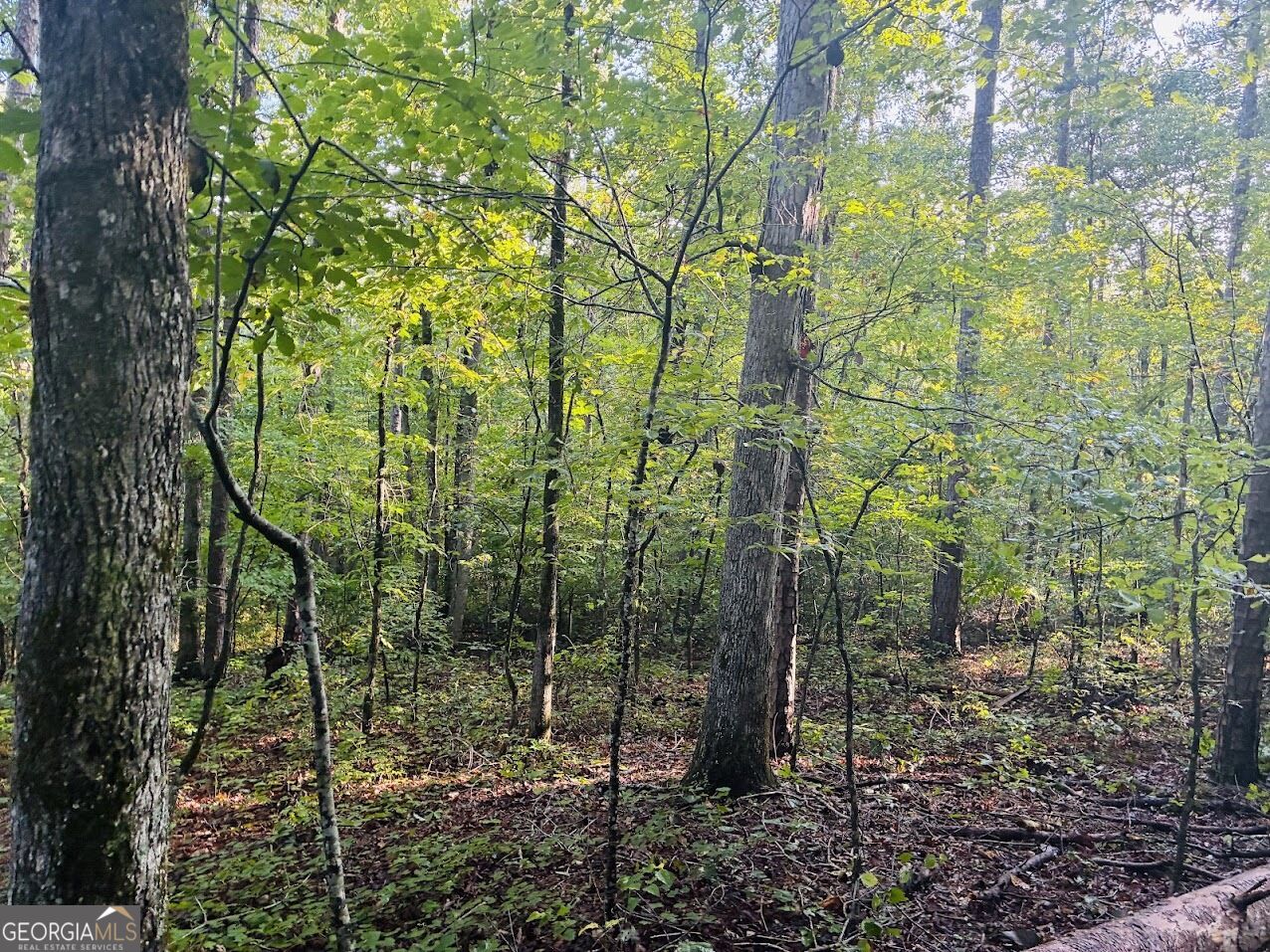 508 Kelley Creek Road Waco GA 30182