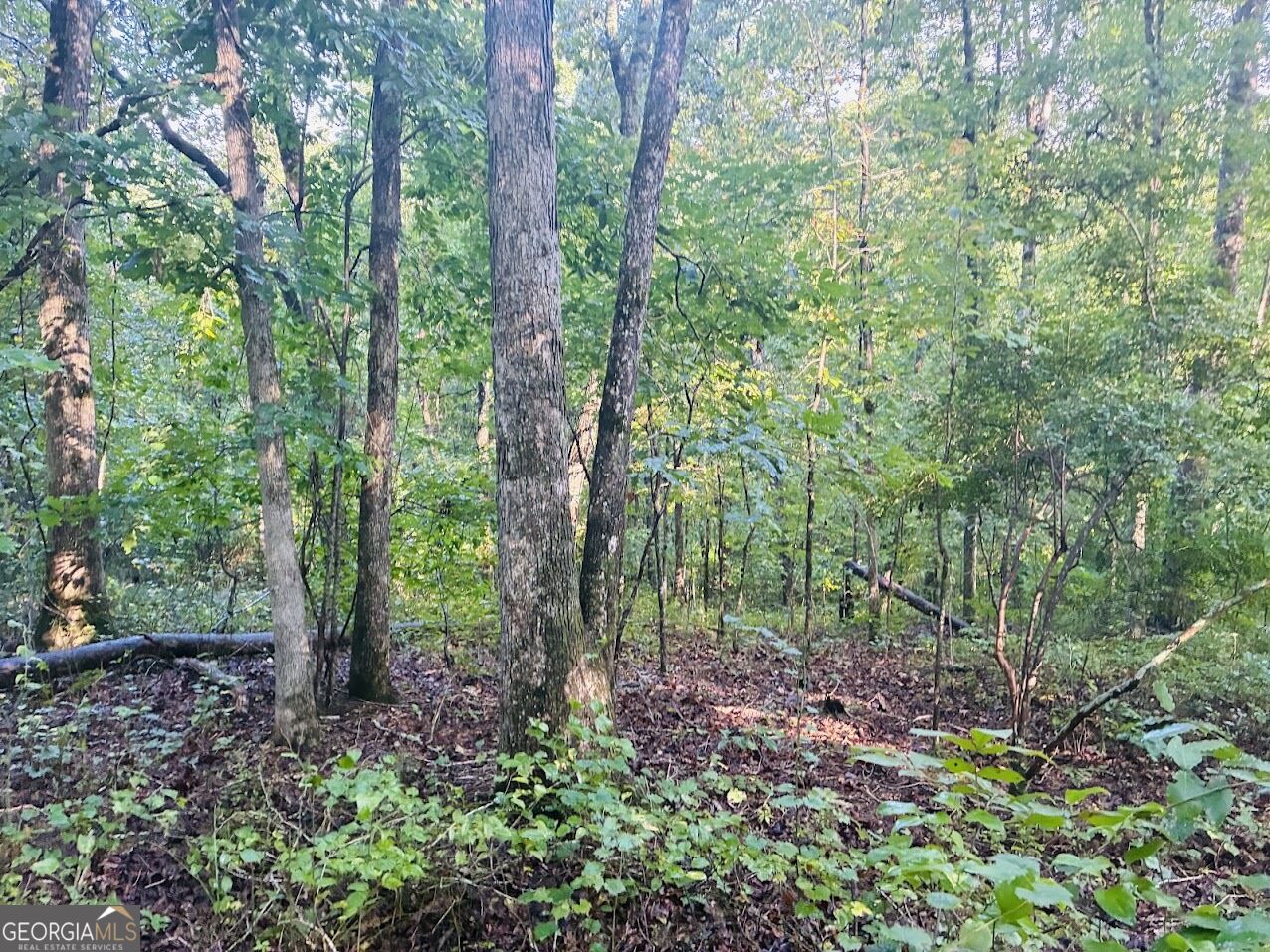 508 Kelley Creek Road Waco GA 30182
