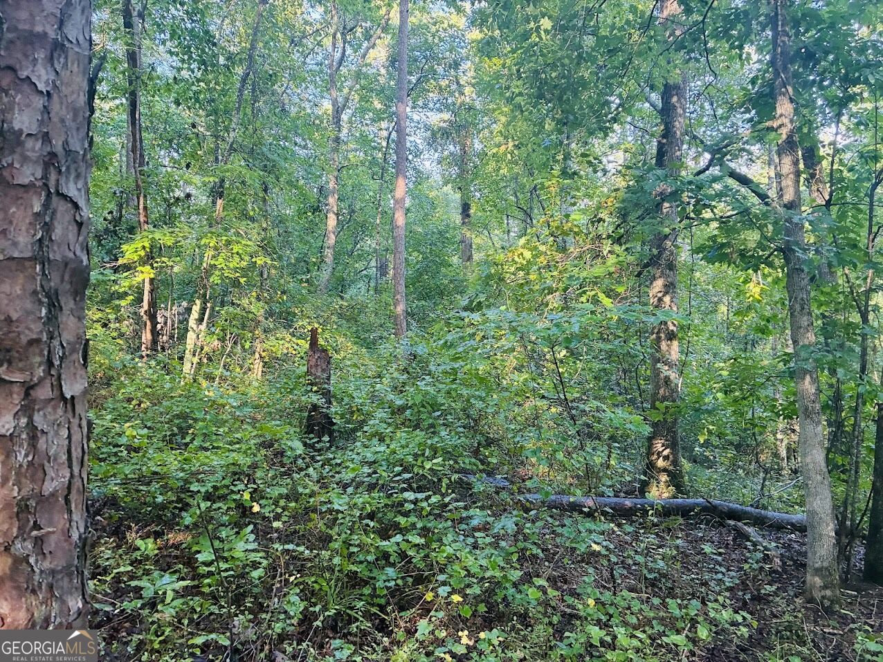 508 Kelley Creek Road Waco GA 30182