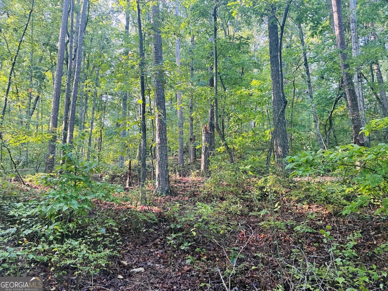 508 Kelley Creek Road Waco GA 30182