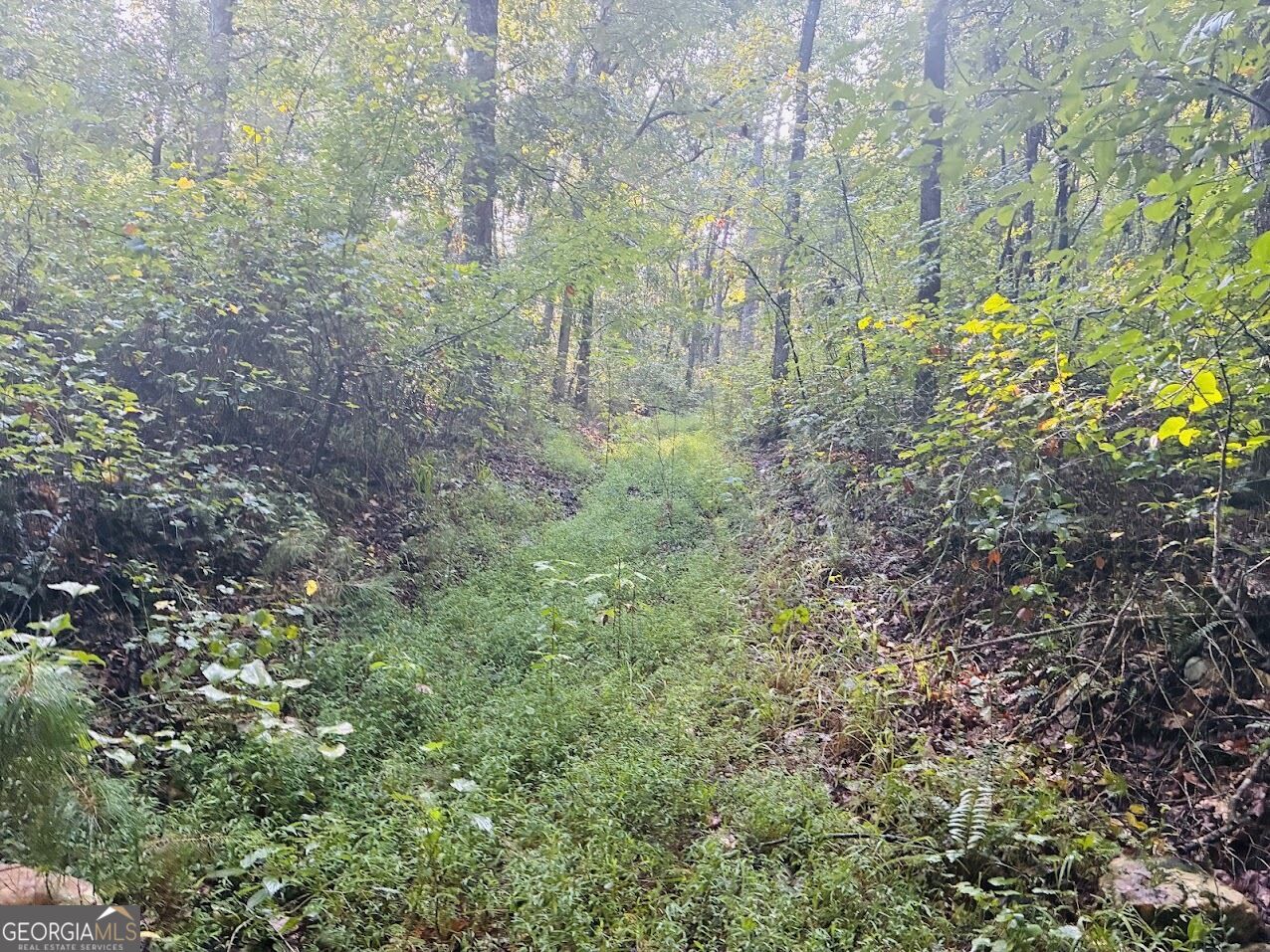 508 Kelley Creek Road Waco GA 30182