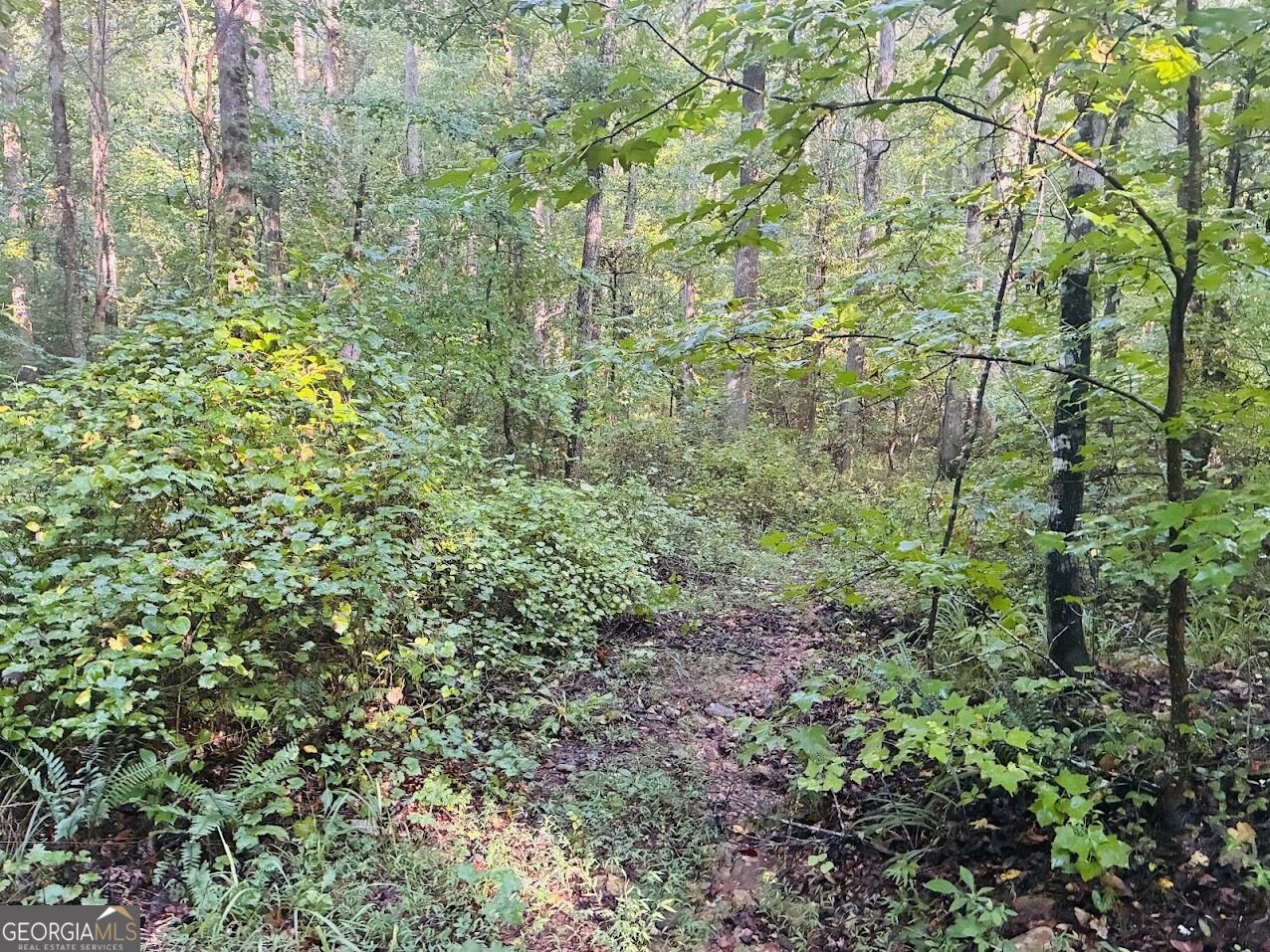 508 Kelley Creek Road Waco GA 30182