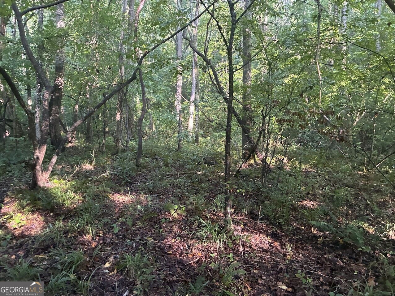 508 Kelley Creek Road Waco GA 30182